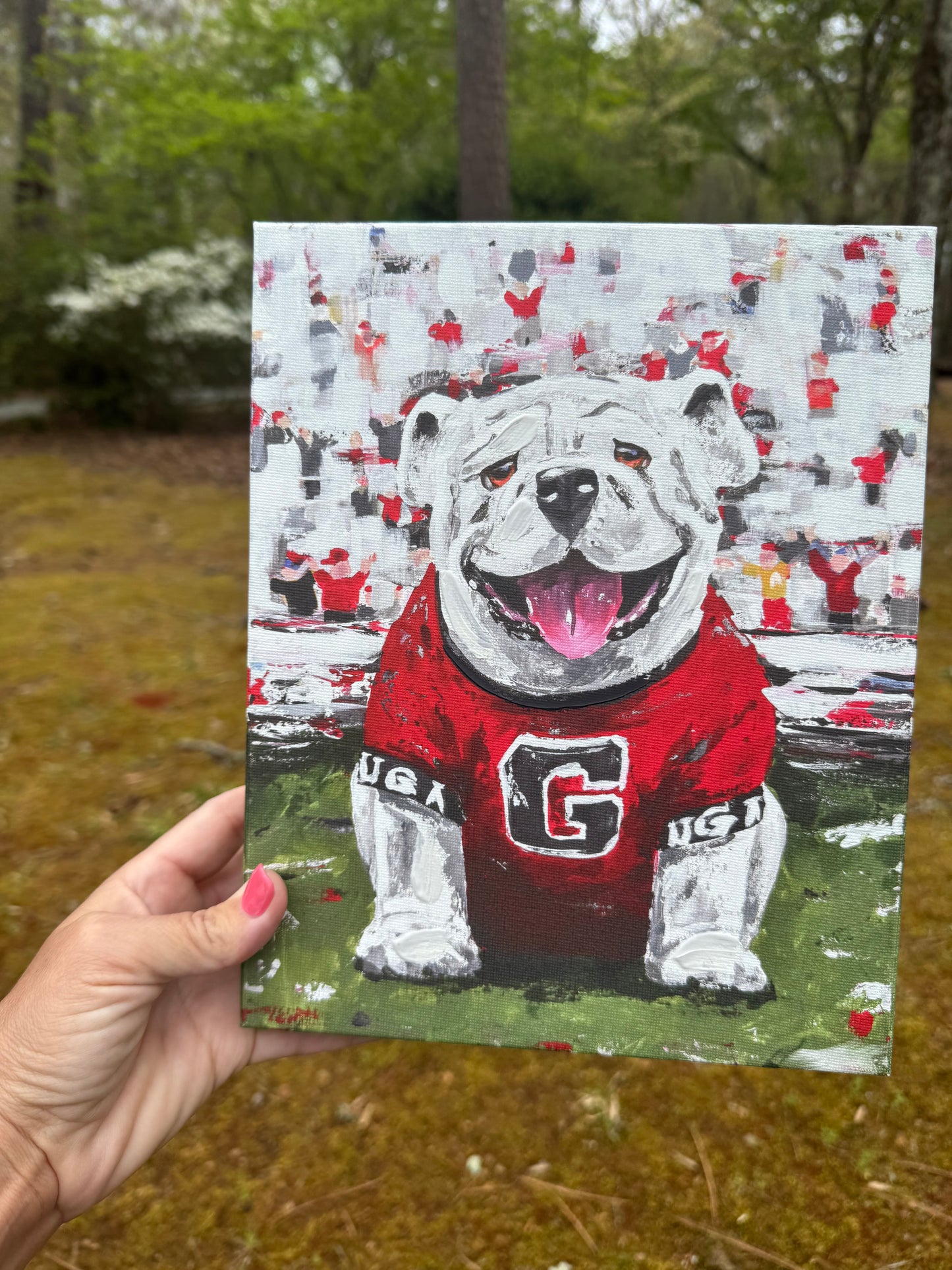 Canvas UGA licensed