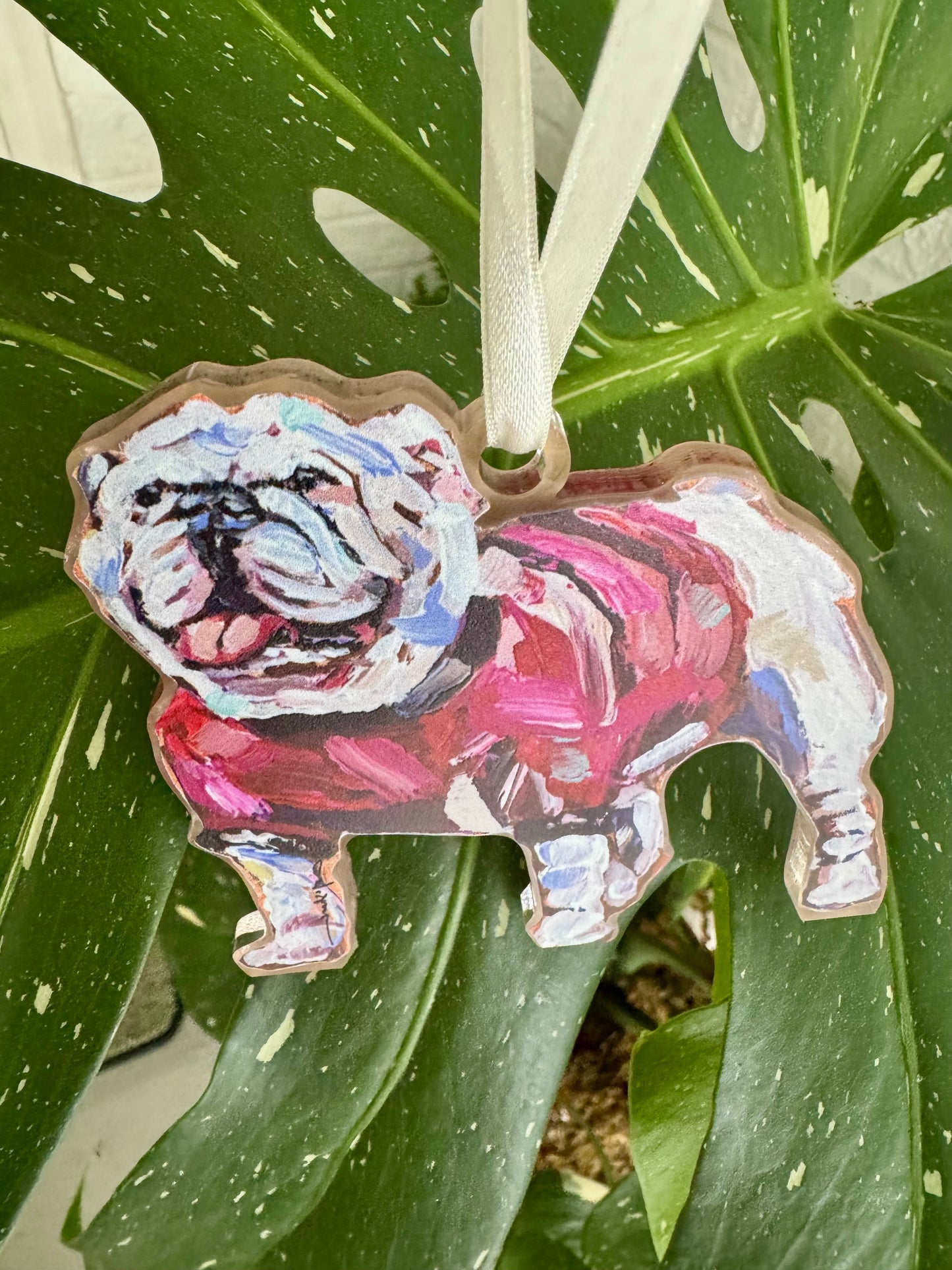 Acrylic ornament