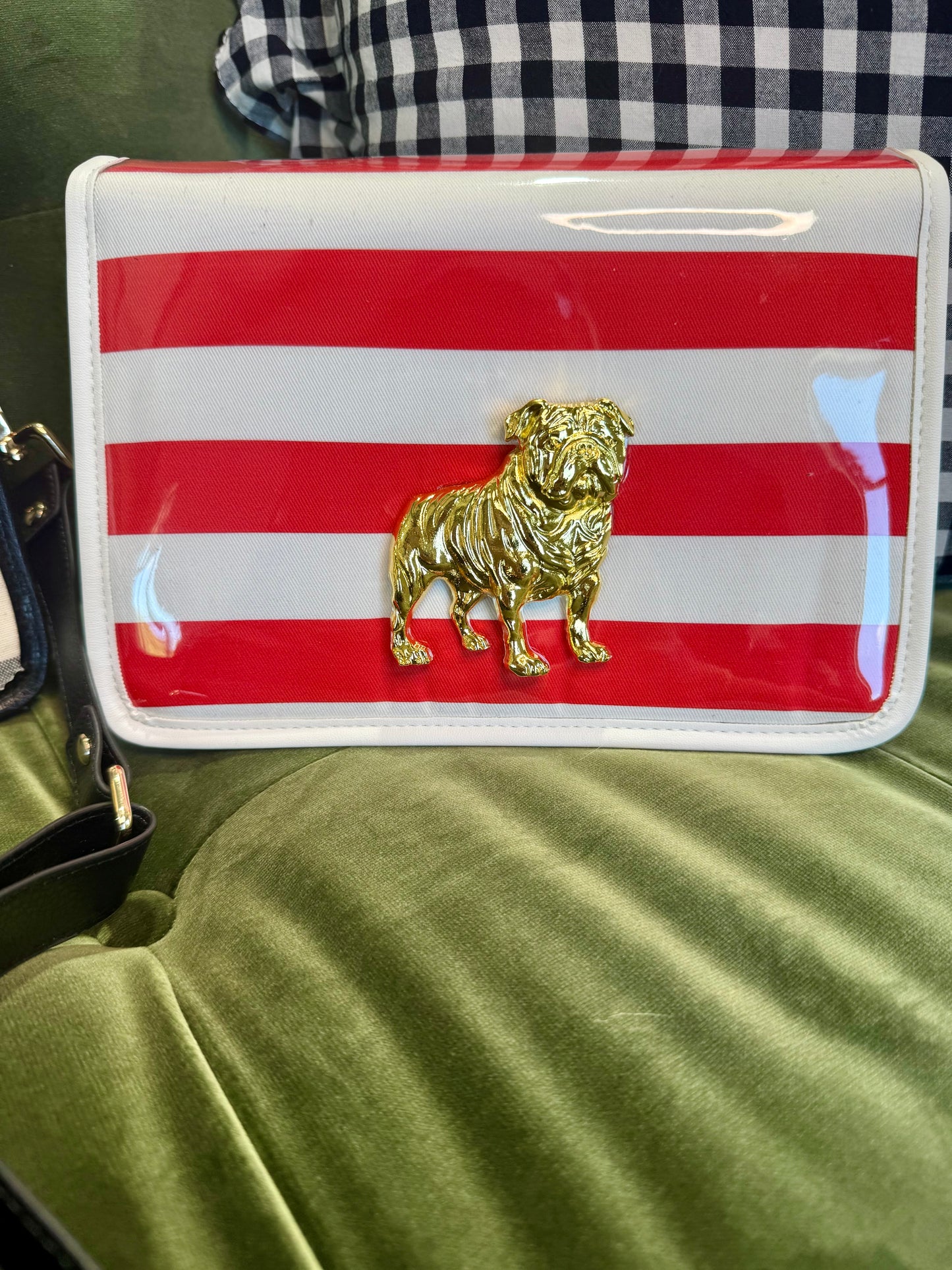 Boutique clear purse/bag with bulldog medallion