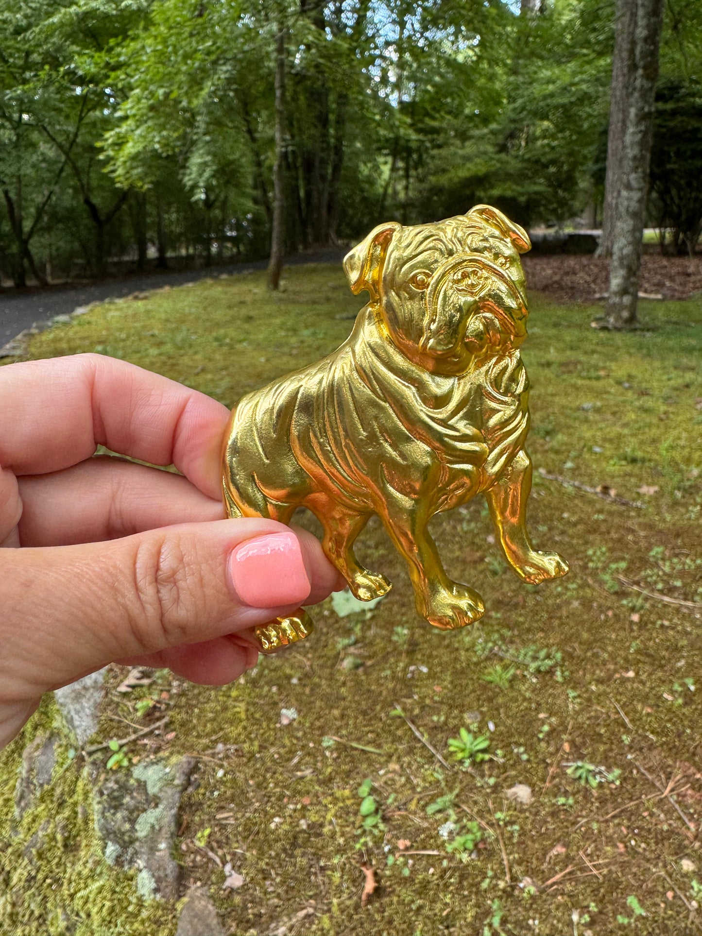 Bulldog belt buckle with gold finish