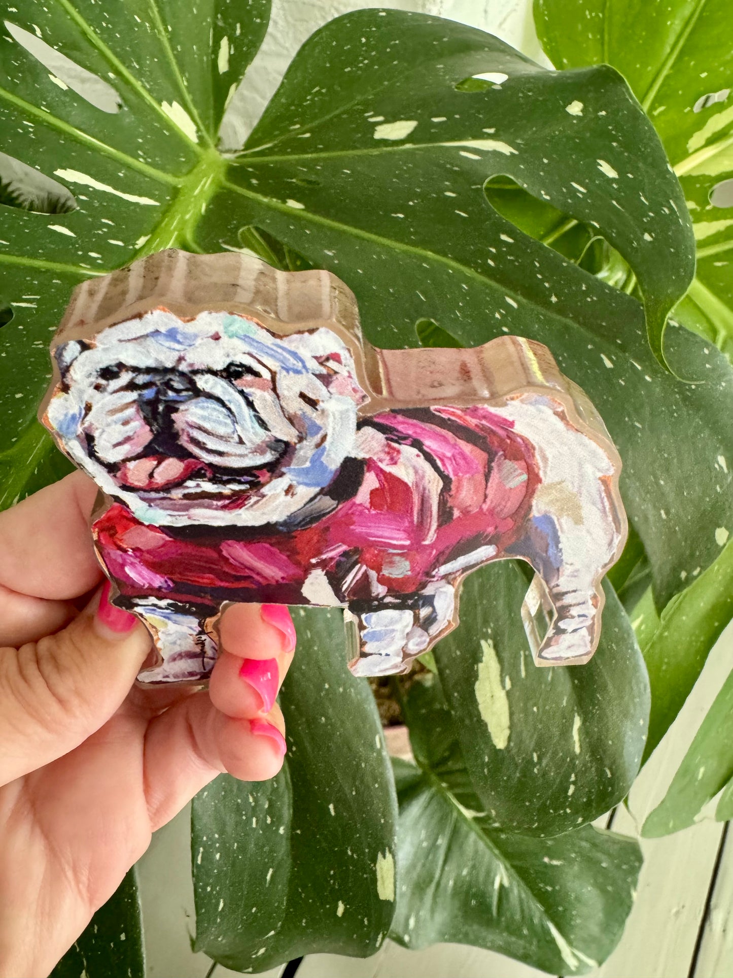 Acrylic dog Shelfie