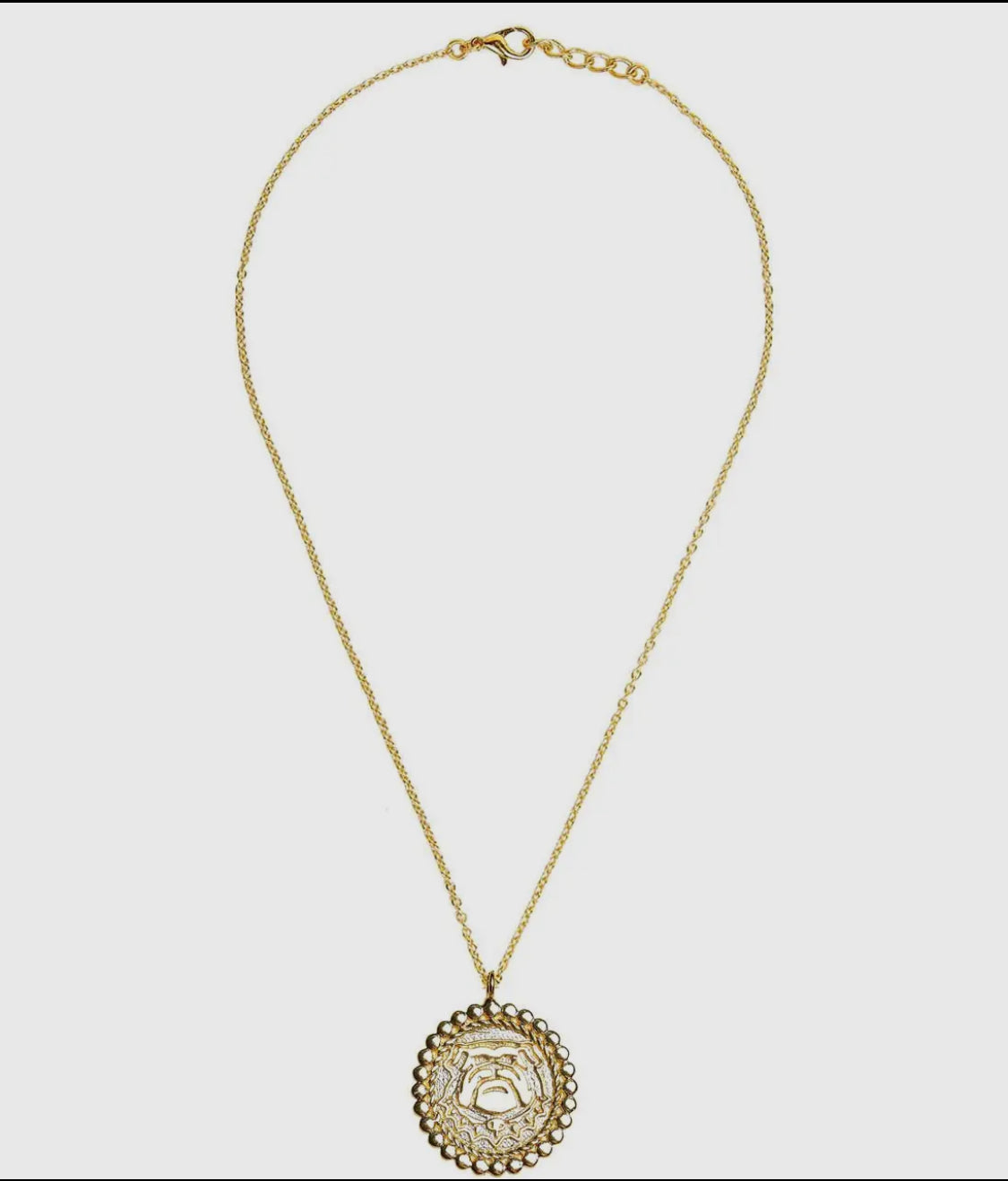 Lisi lerch bulldog gold coin necklace on chain