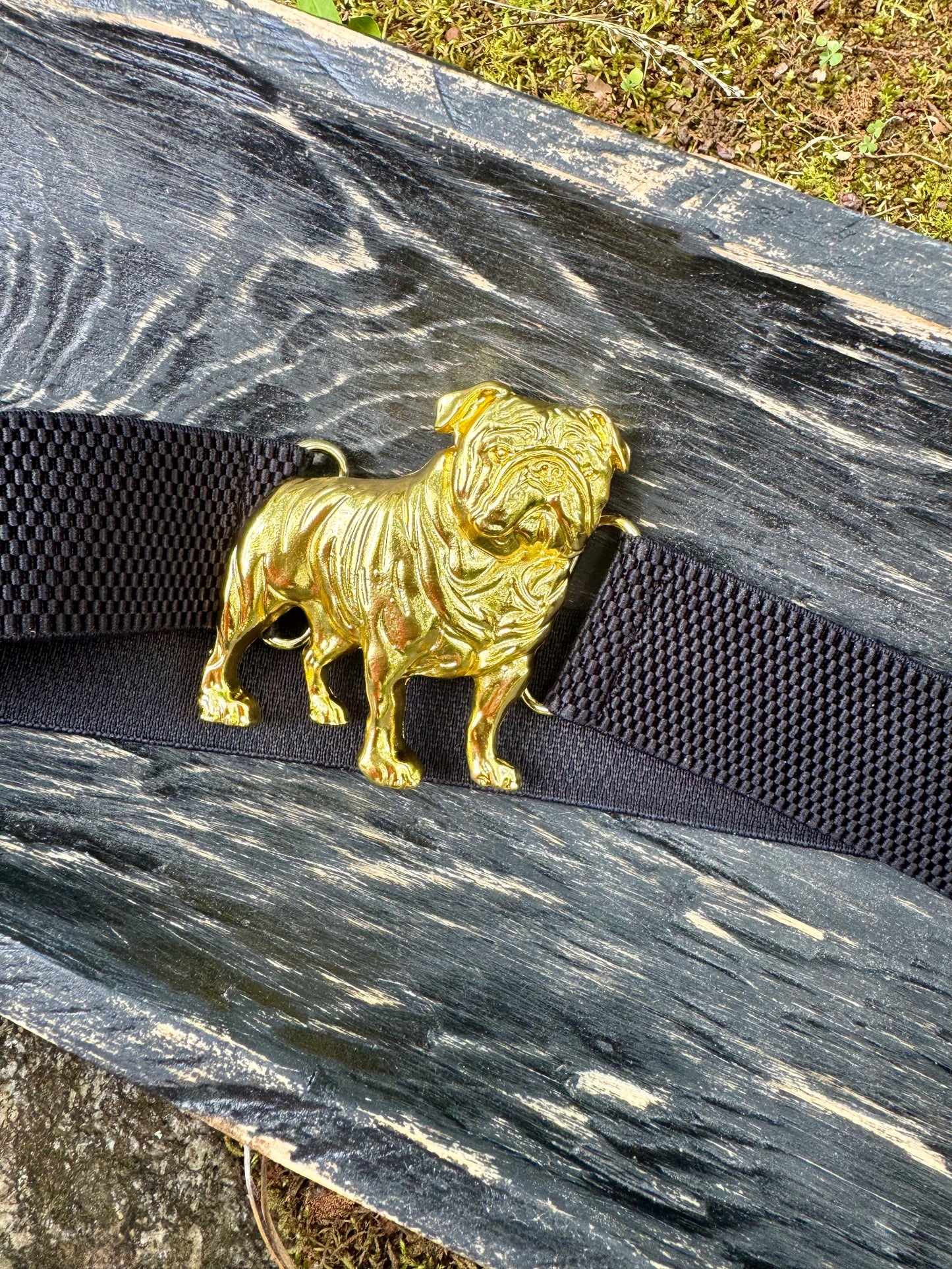 Bulldog belt buckle with gold finish
