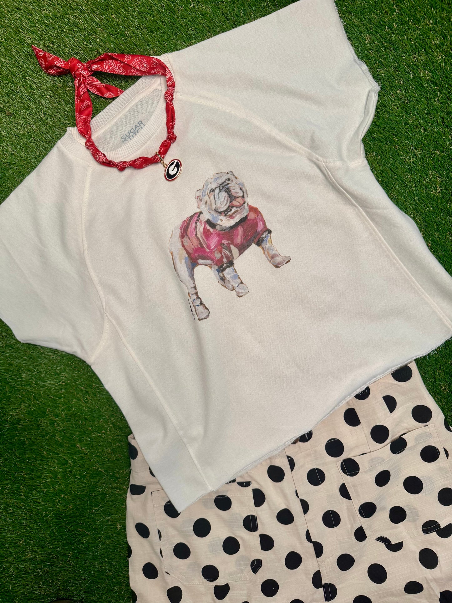 T shirt with bulldog by artist Chelsea McShane ( S-XXL) RESTOCKED!!!!!!!