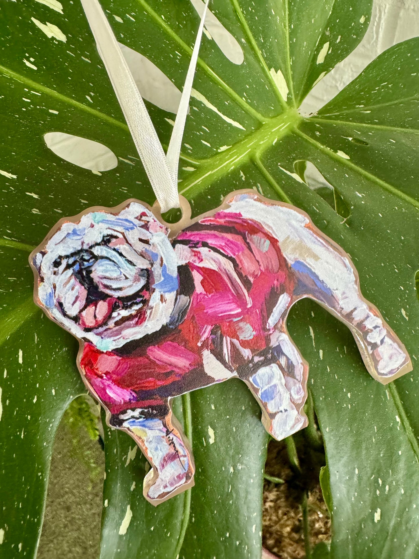 Acrylic ornament