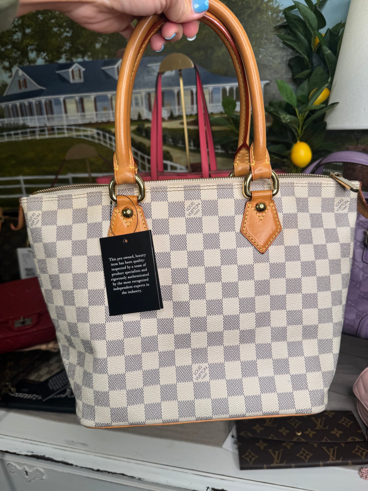 Louis Vuitton Seleya PM Damier Azur pre loved