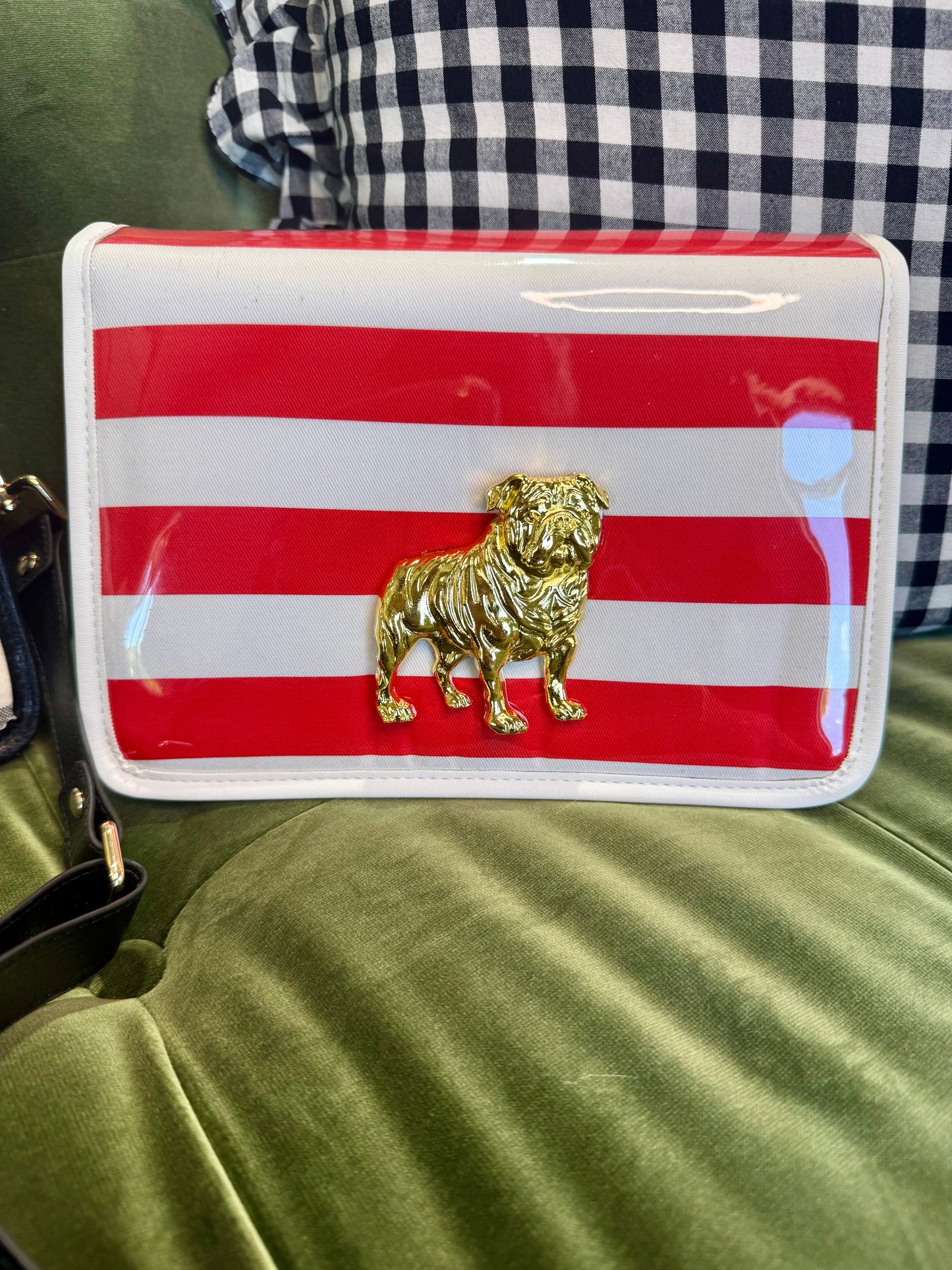 Boutique clear purse/bag with bulldog medallion