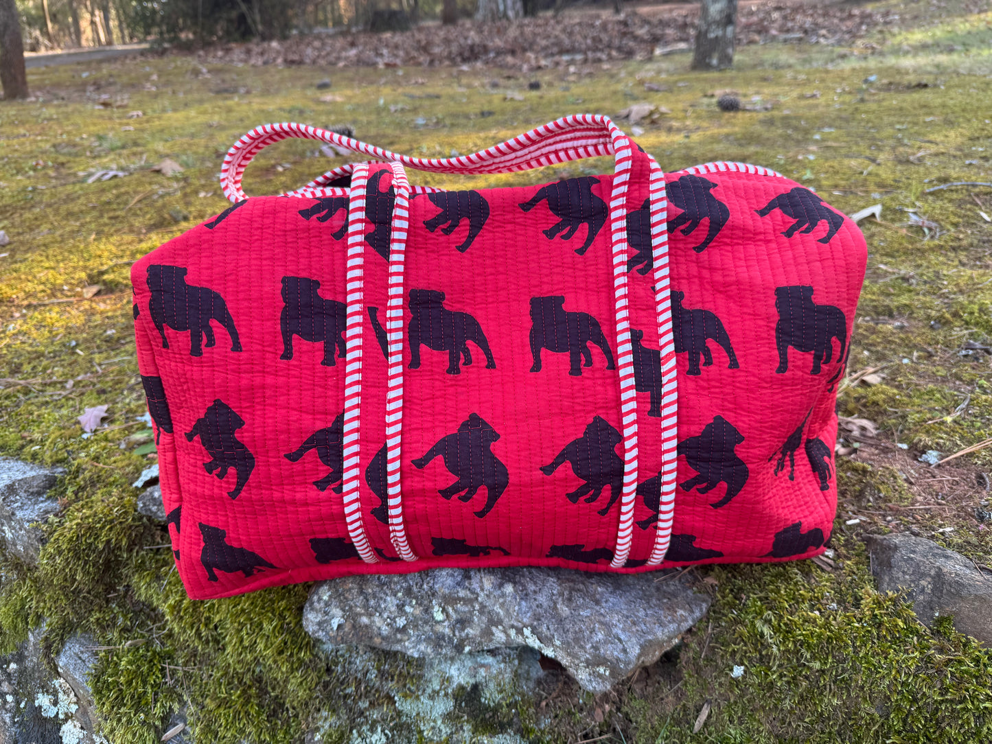 Exclusive Pickled Lemon duffle bag! Large marked down