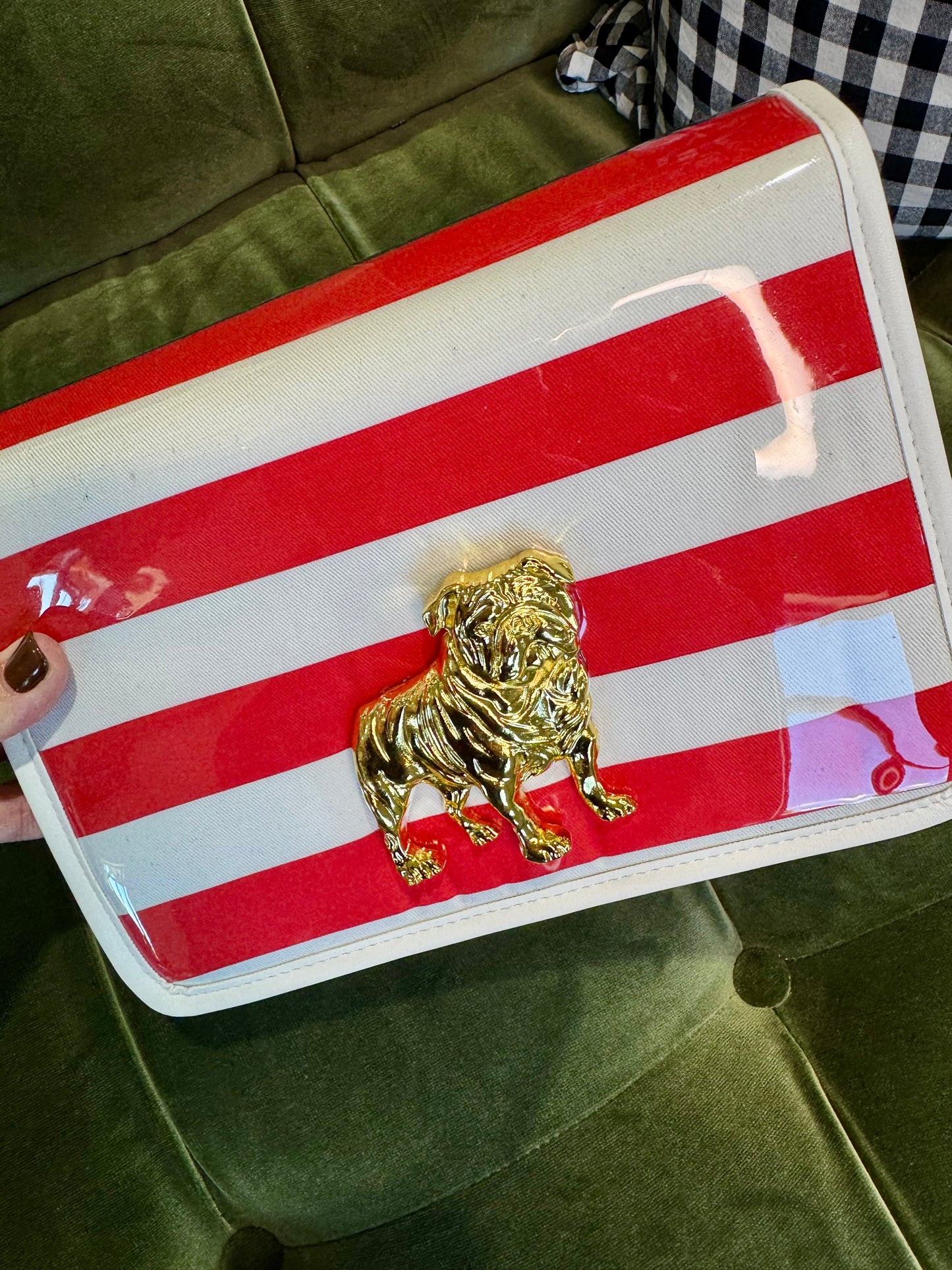 Boutique clear purse/bag with bulldog medallion