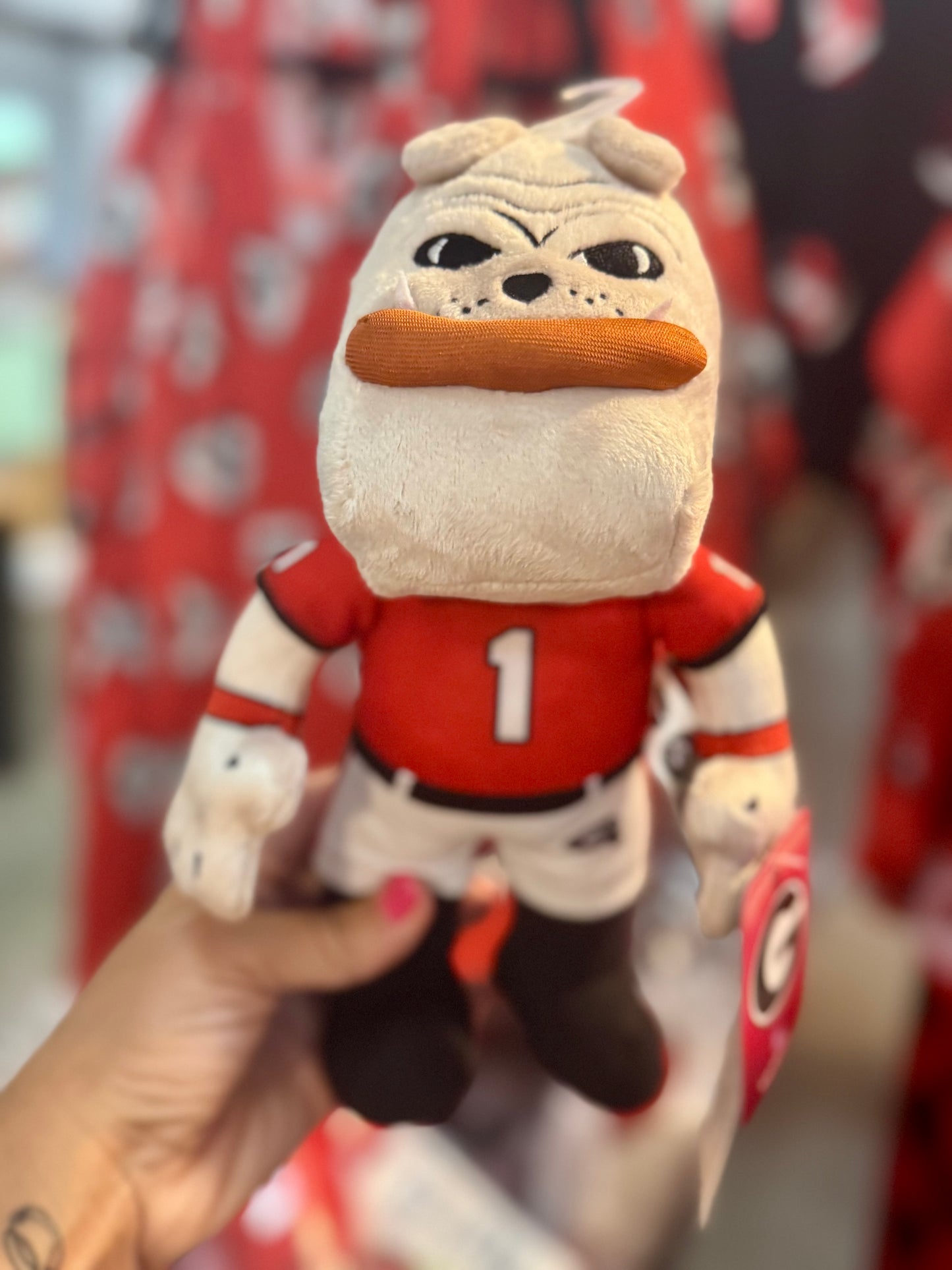 Plush UGA hairy dog