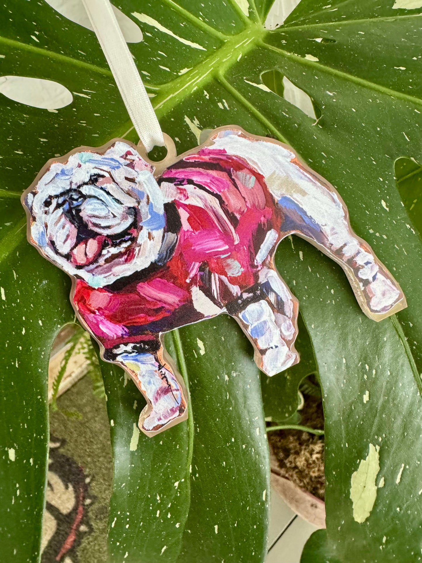 Acrylic ornament