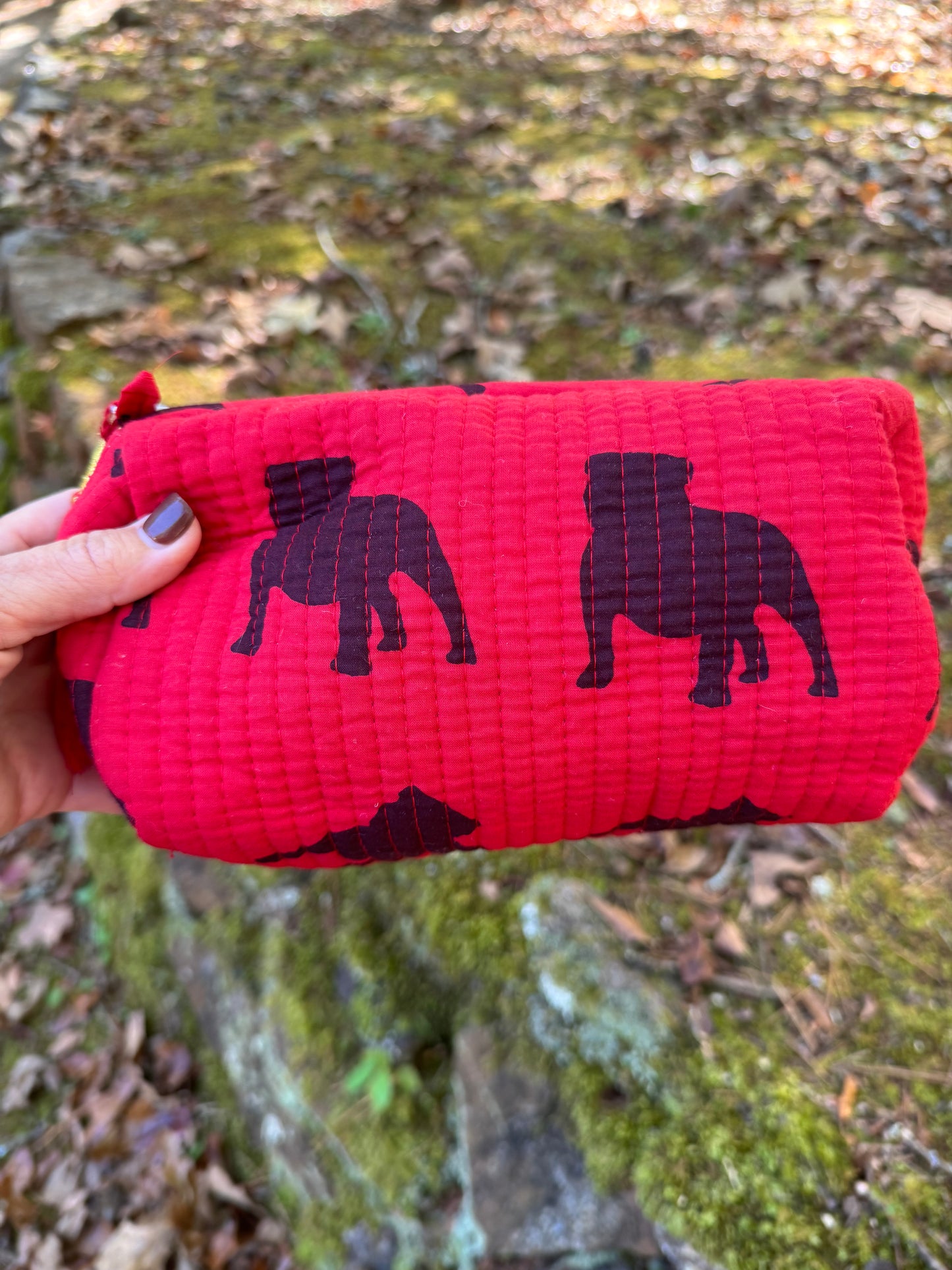 Restocked! Exclusive pickled lemon cosmetic bags - 3 piece set