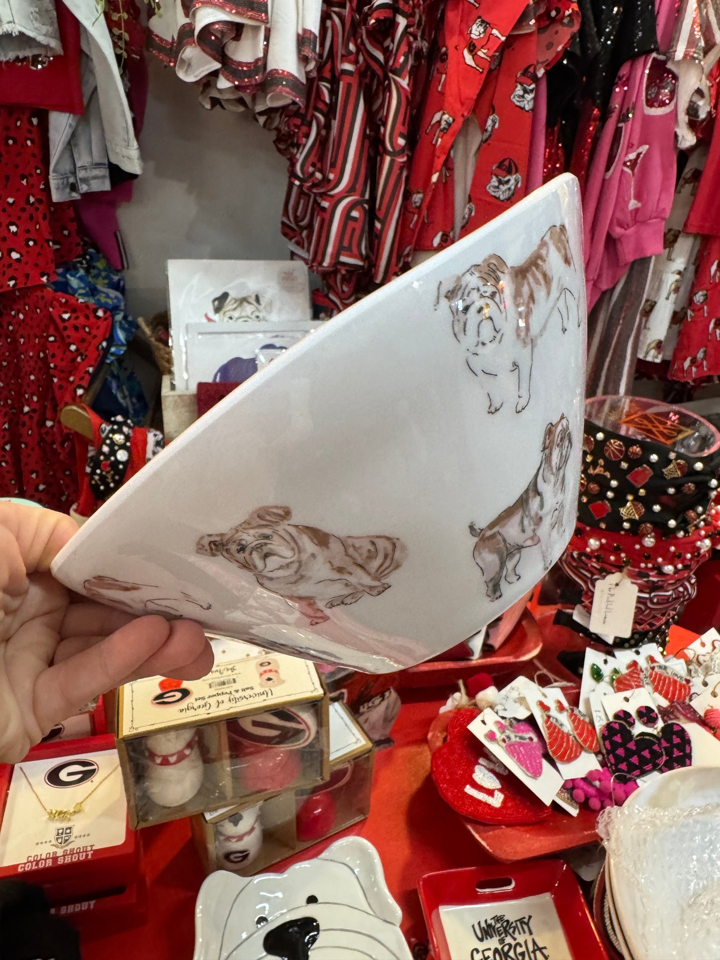 Bowl bulldog melamine