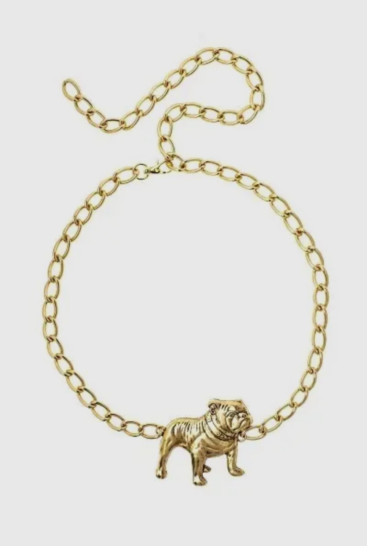 Gold bulldog chain belt yochi NY brand