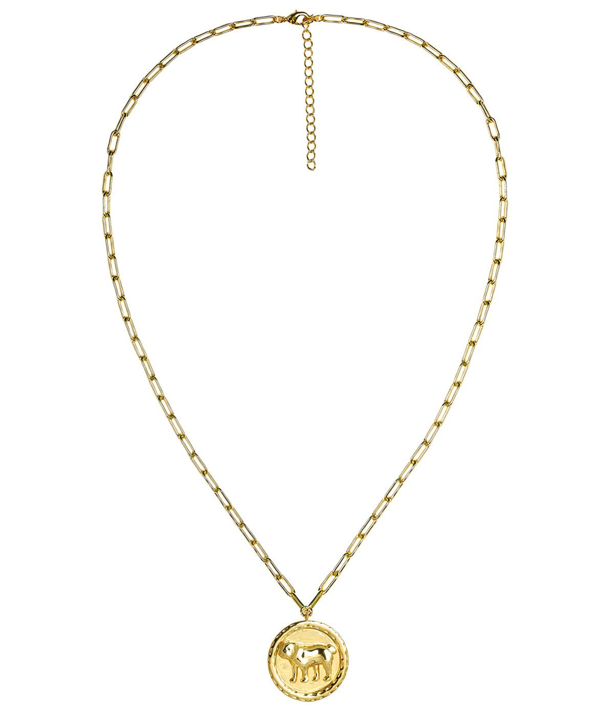 Lisi lerch bulldog necklace coin