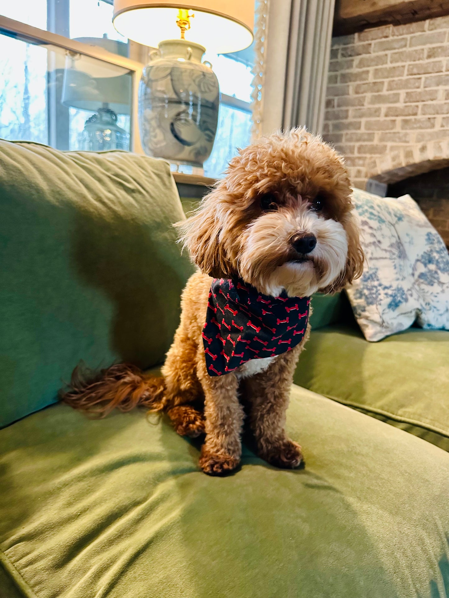 Reversible dog bandana red and black