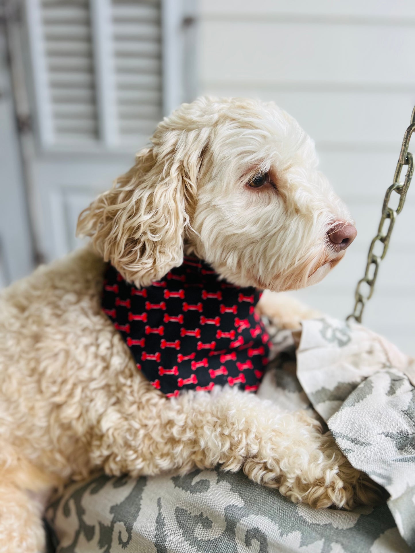 Reversible dog bandana red and black