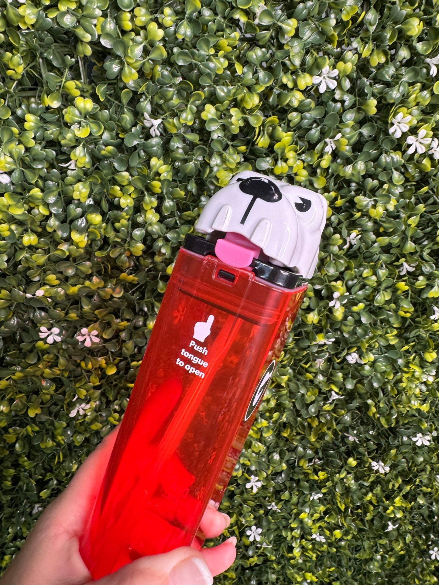 Drink in the box dawgs