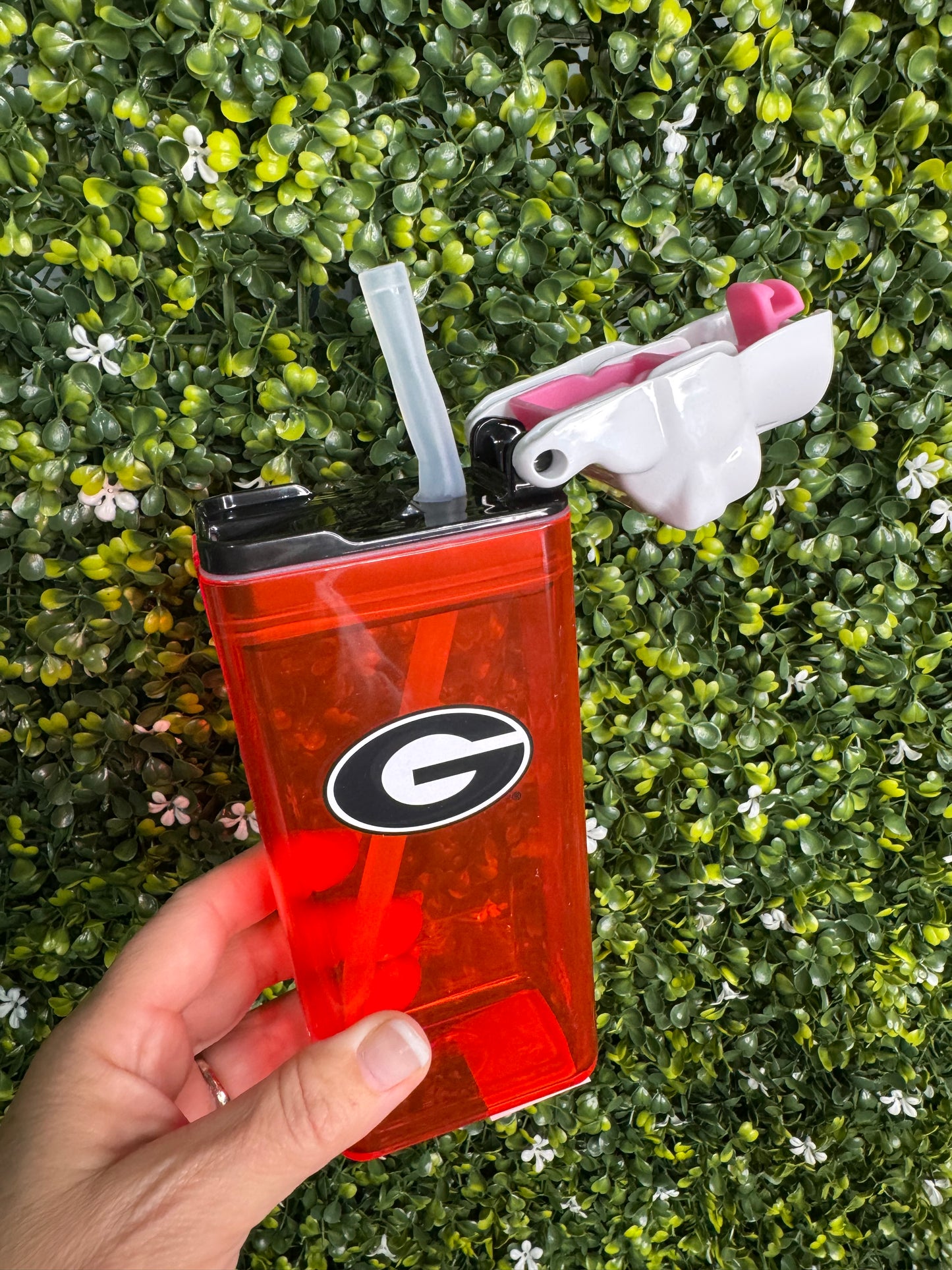 Drink in the box dawgs