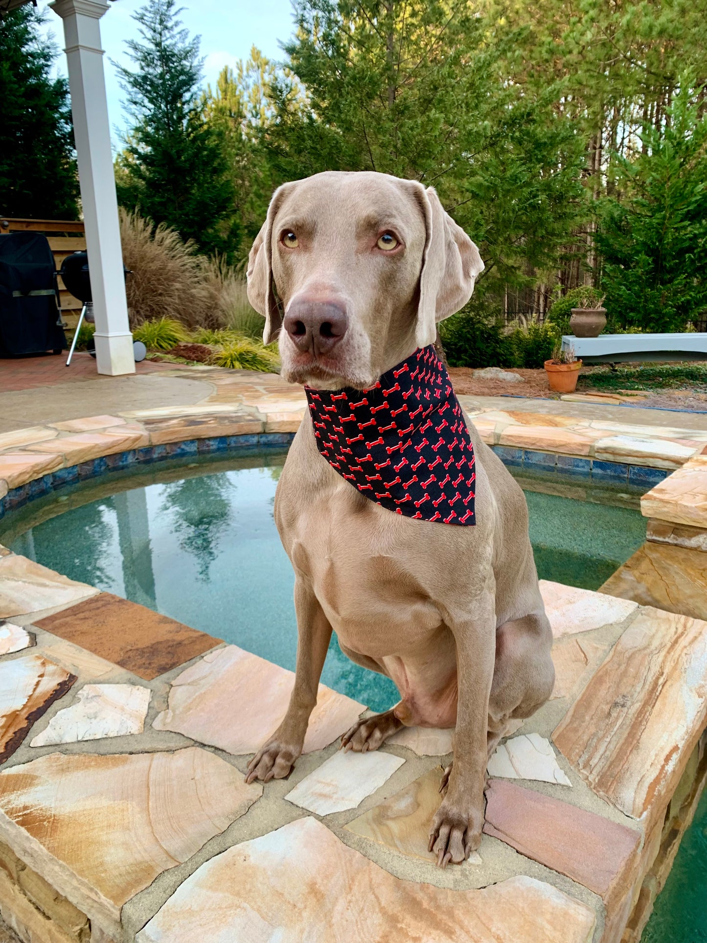 Reversible dog bandana red and black