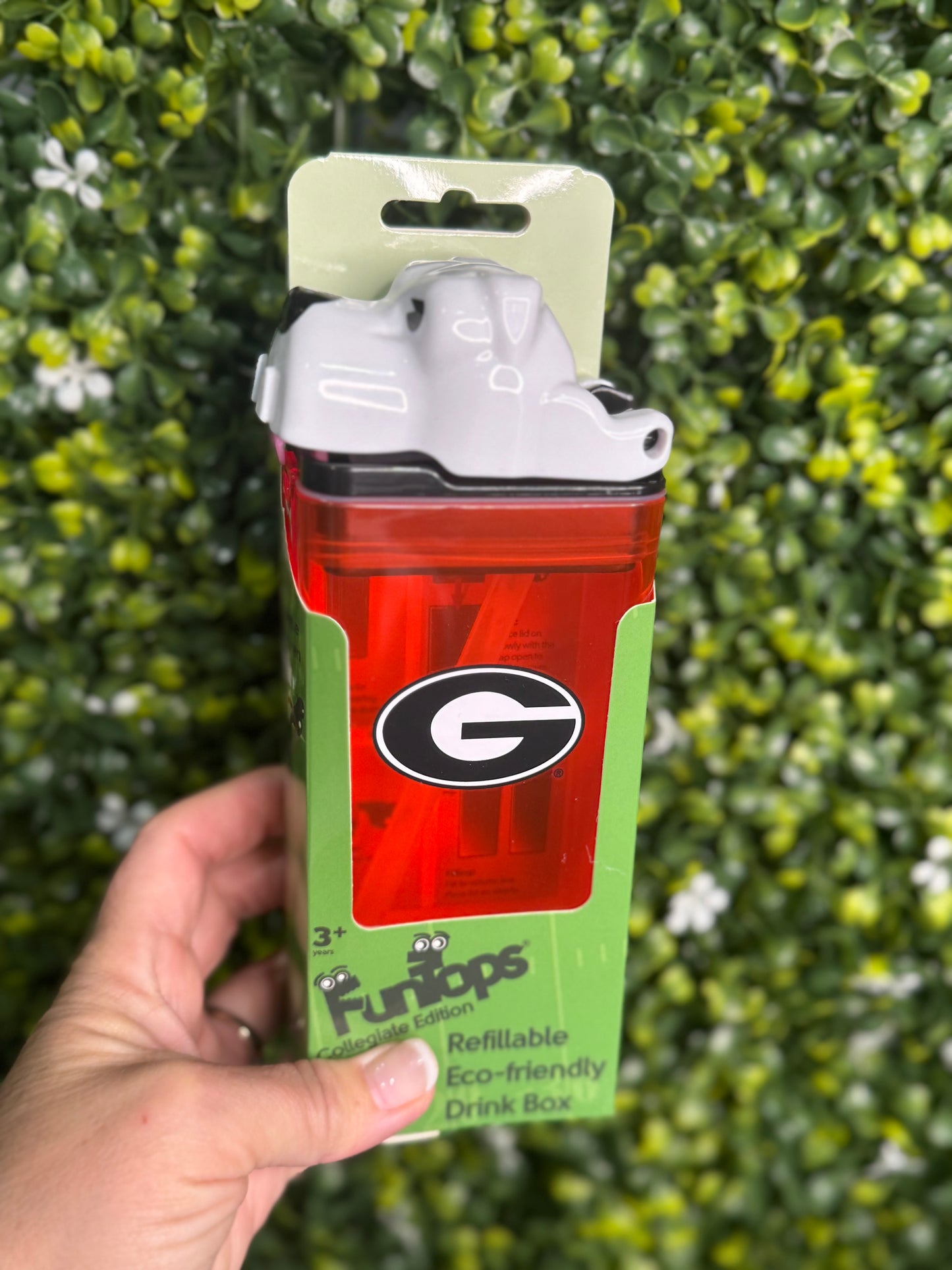 Drink in the box dawgs