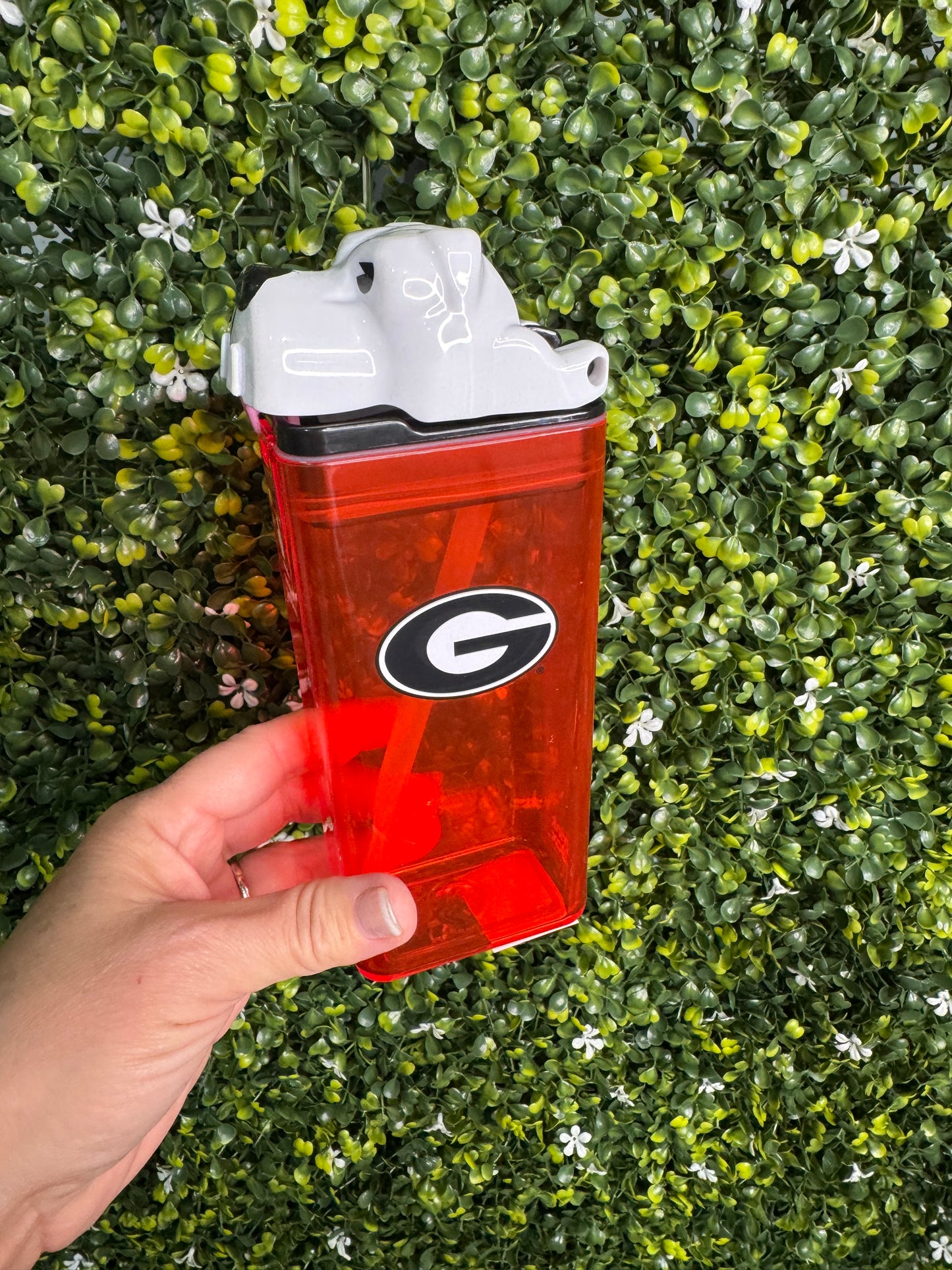 Drink in the box dawgs