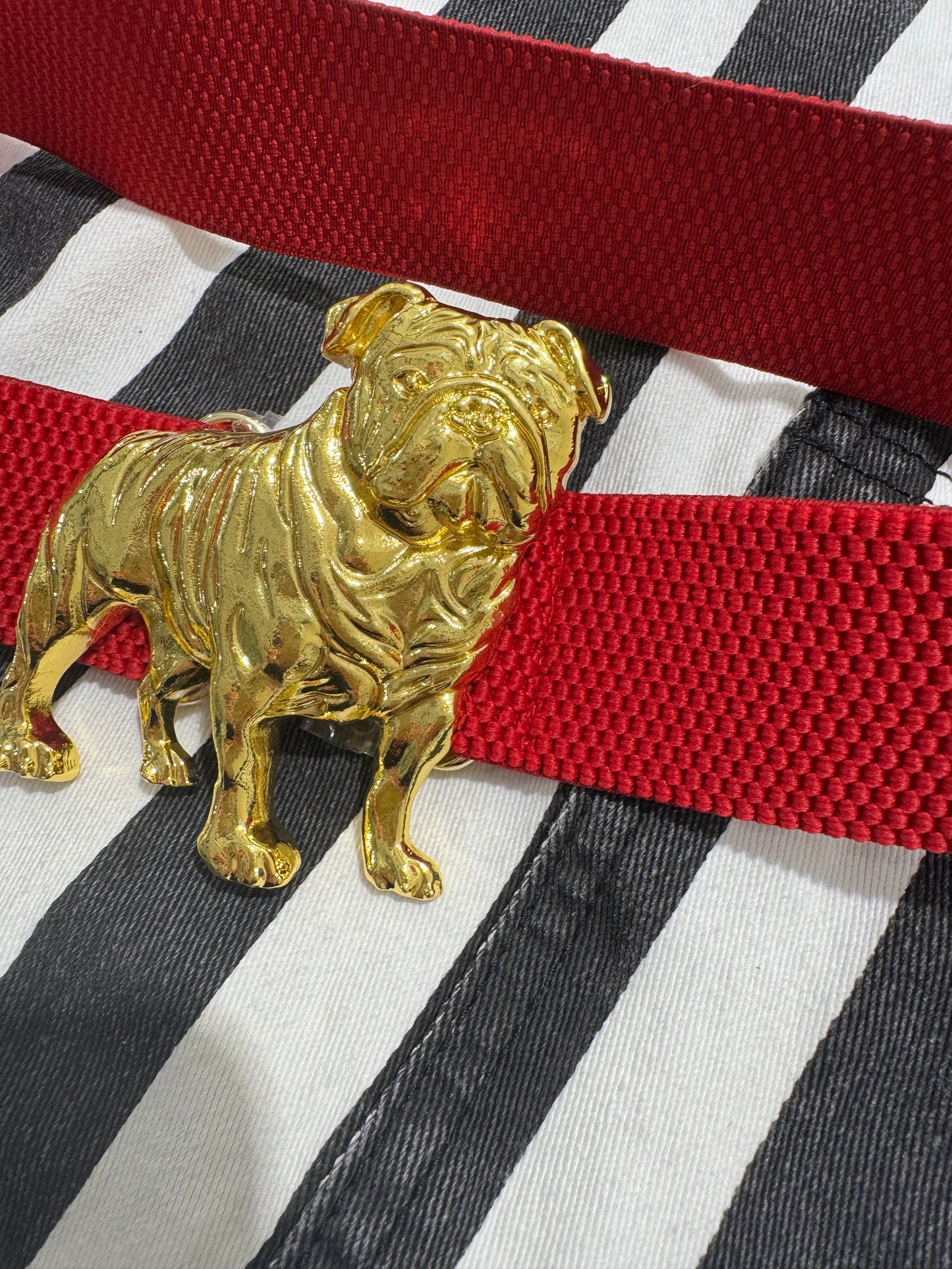 Stretchy belt red. Bulldog sold separately