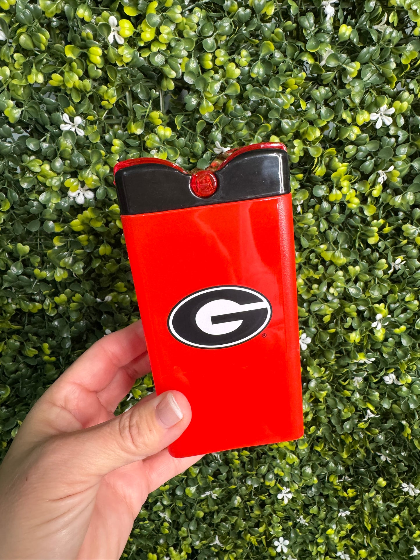 Snack in the box dawgs licensed