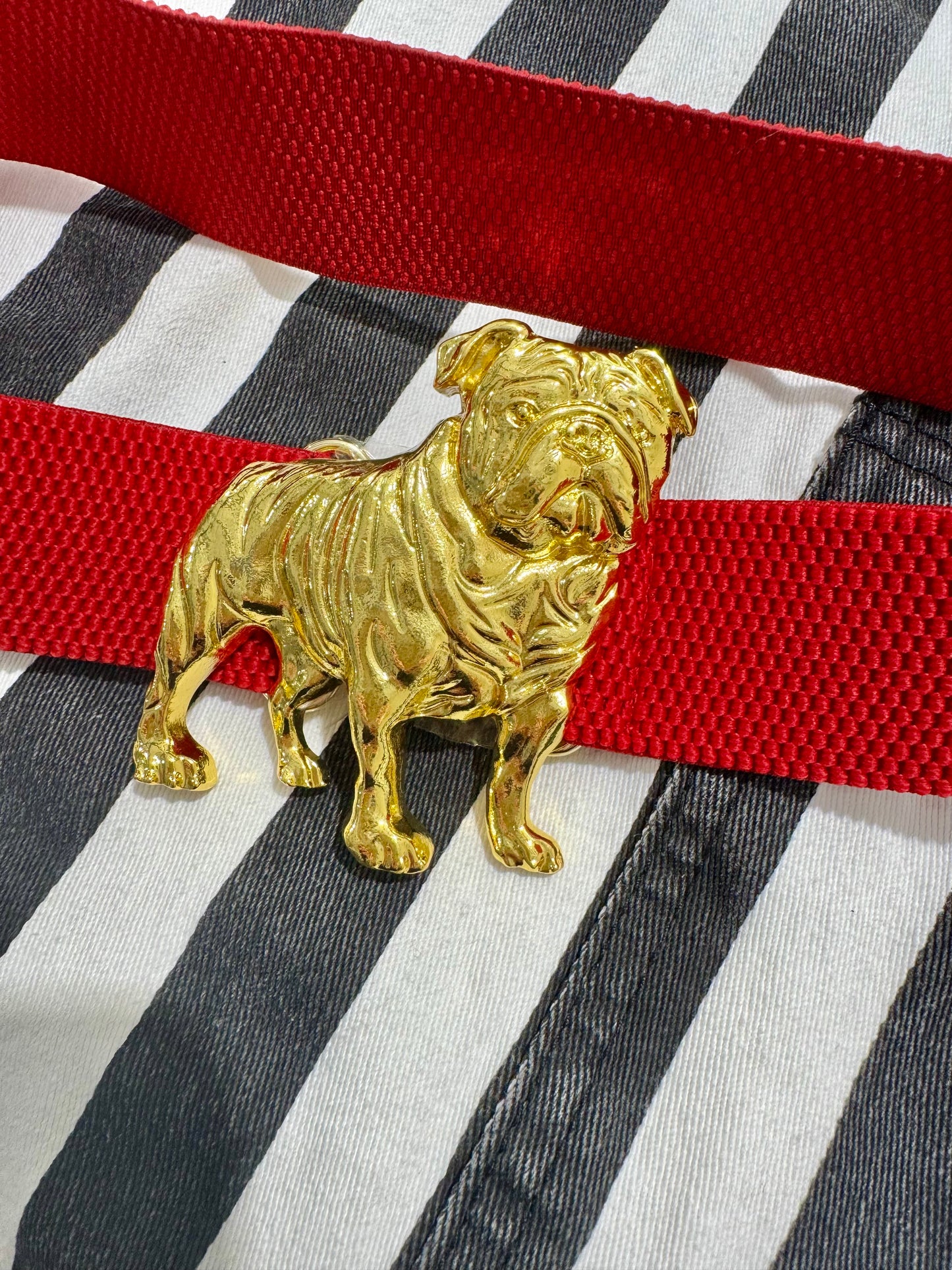 Stretchy belt red. Bulldog sold separately