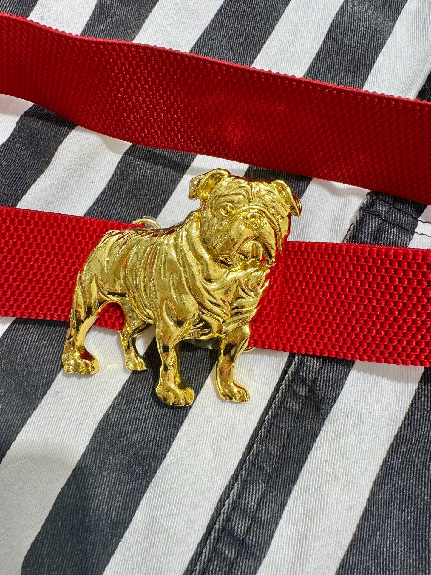 Stretchy belt red. Bulldog sold separately