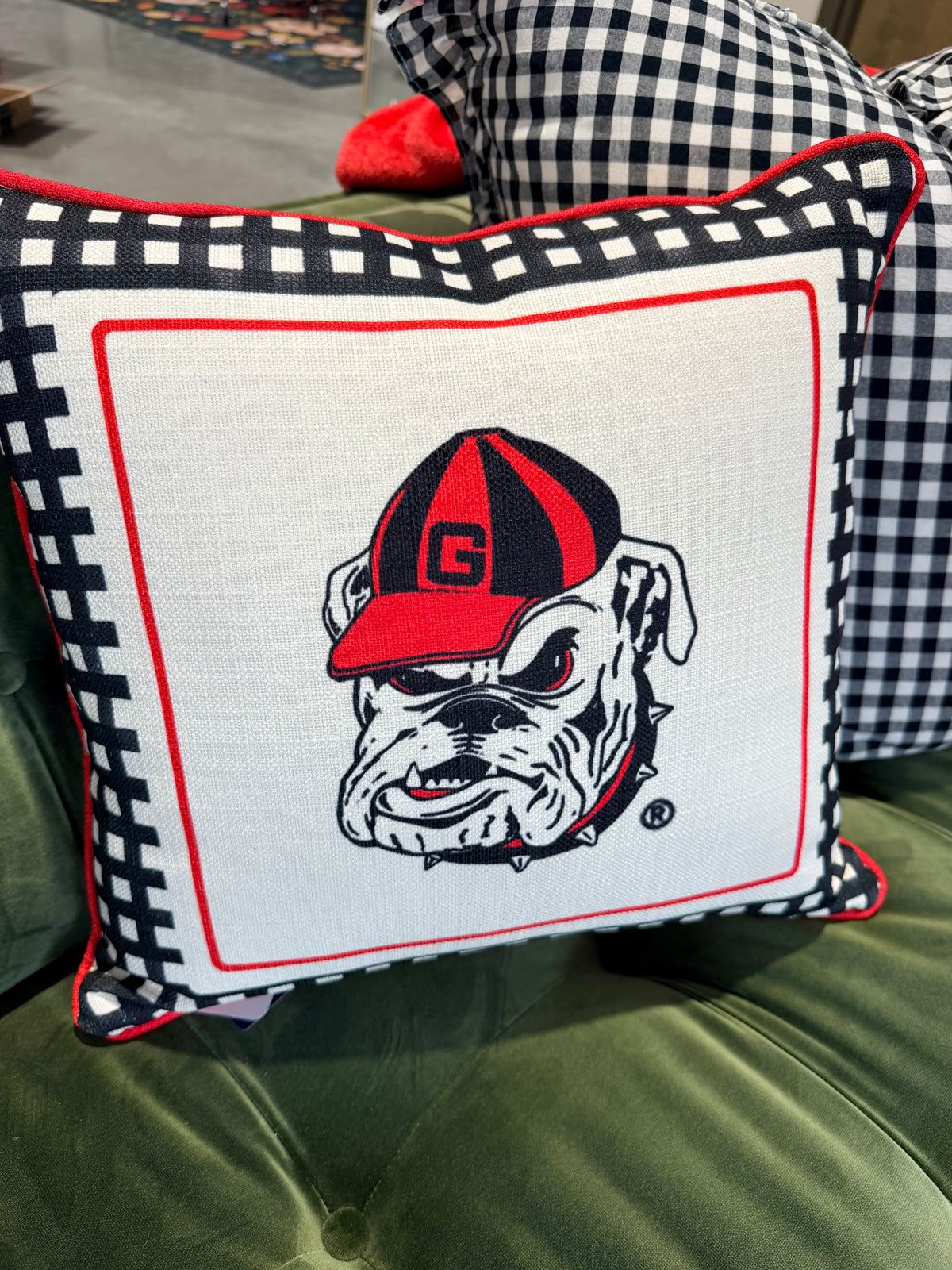 Mascot gingham licensed pillow