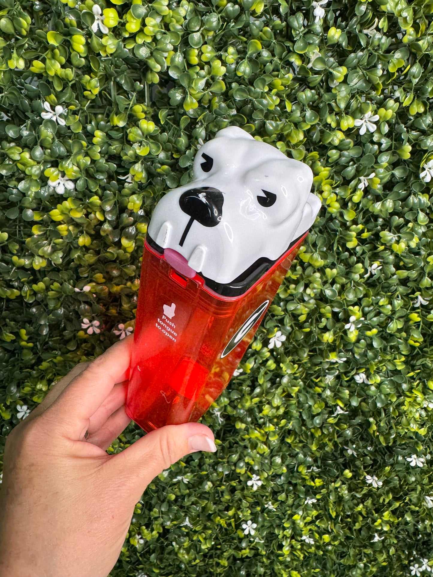 Drink in the box dawgs