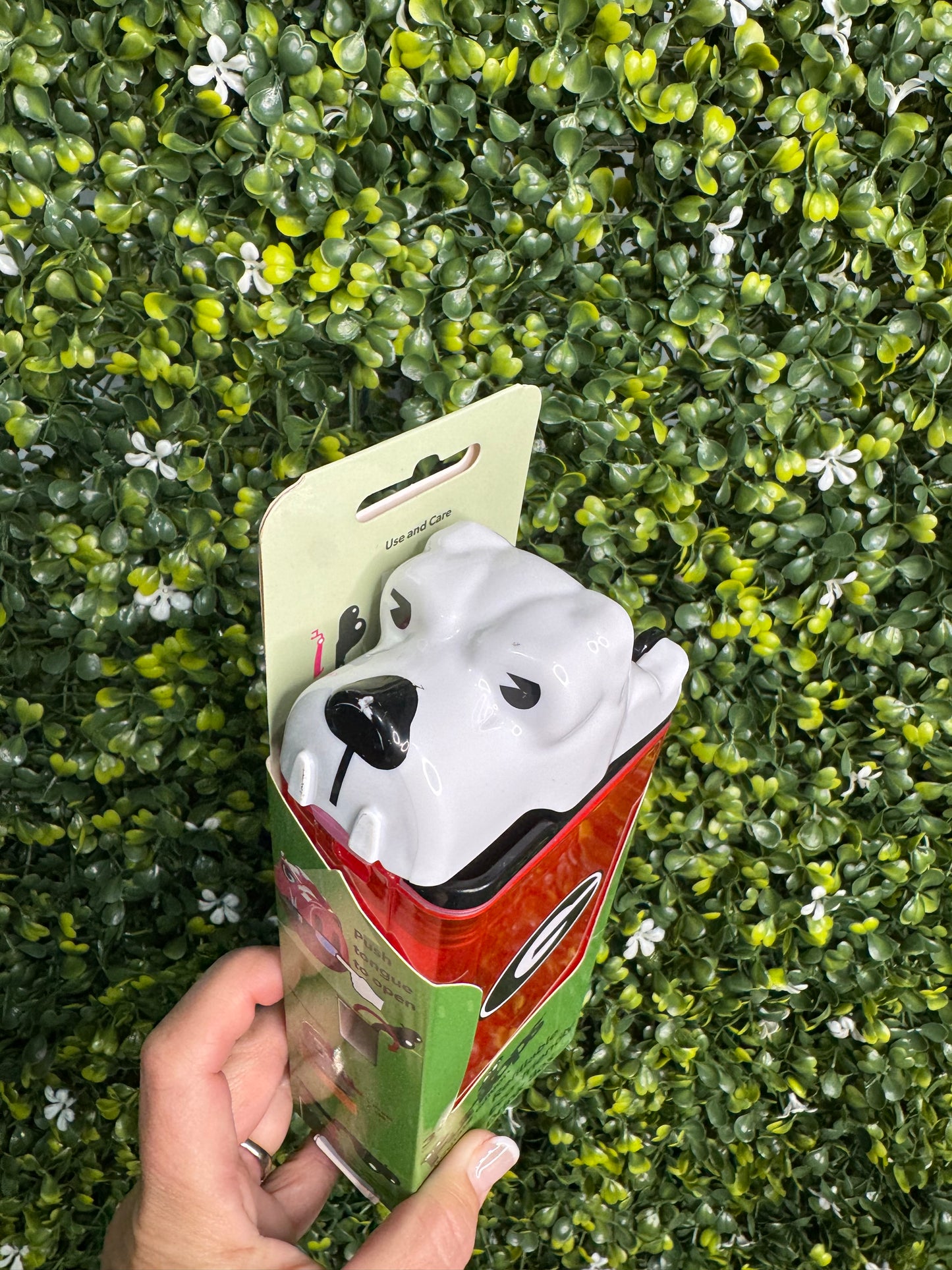 Drink in the box dawgs