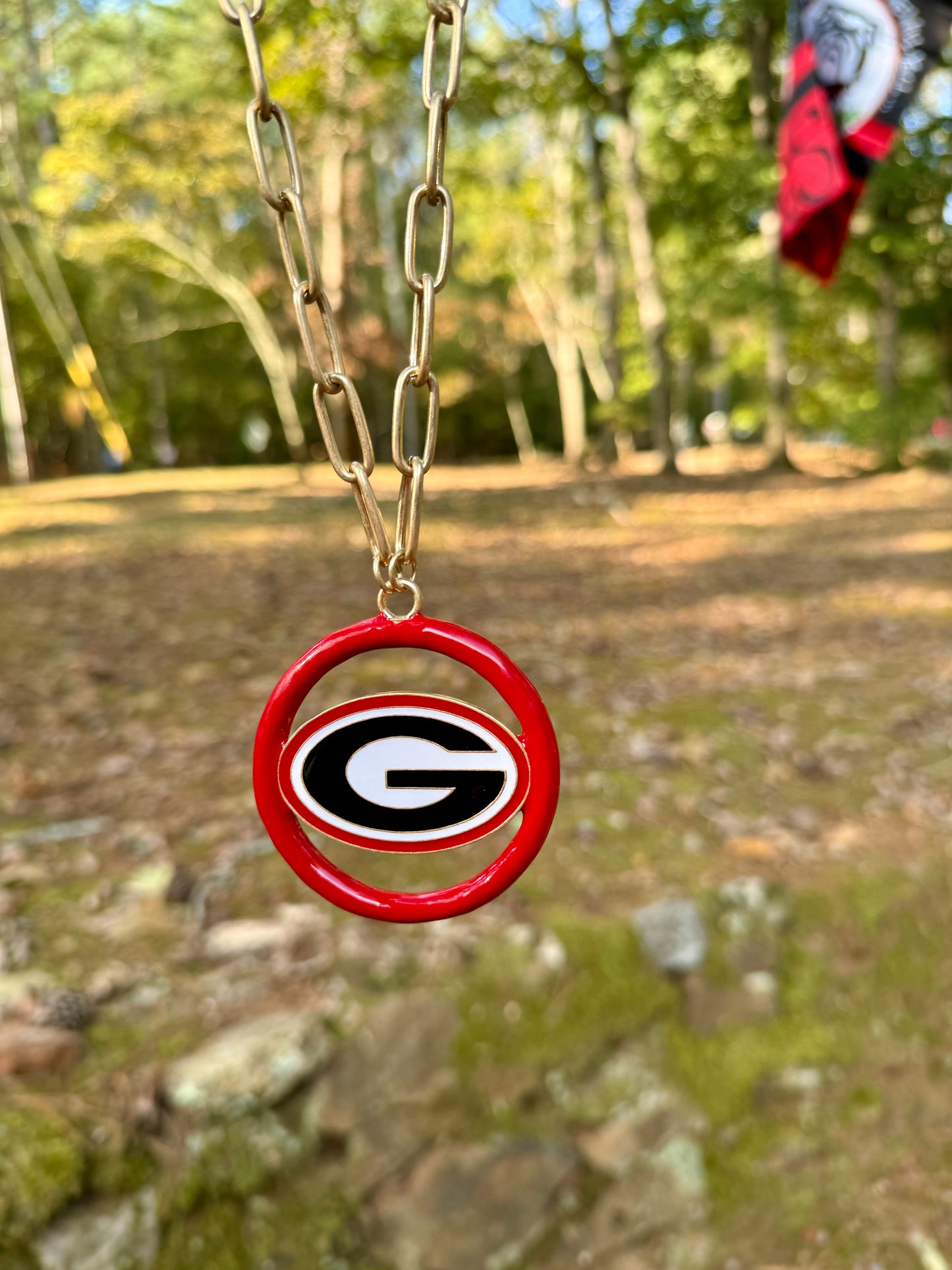 Georgia bulldogs logo medallion necklace large