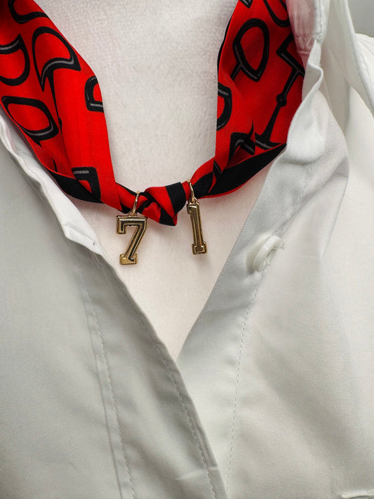 Custom scarf necklace you tell me your players number!