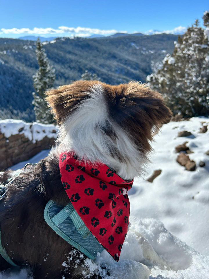 Reversible dog bandana red and black