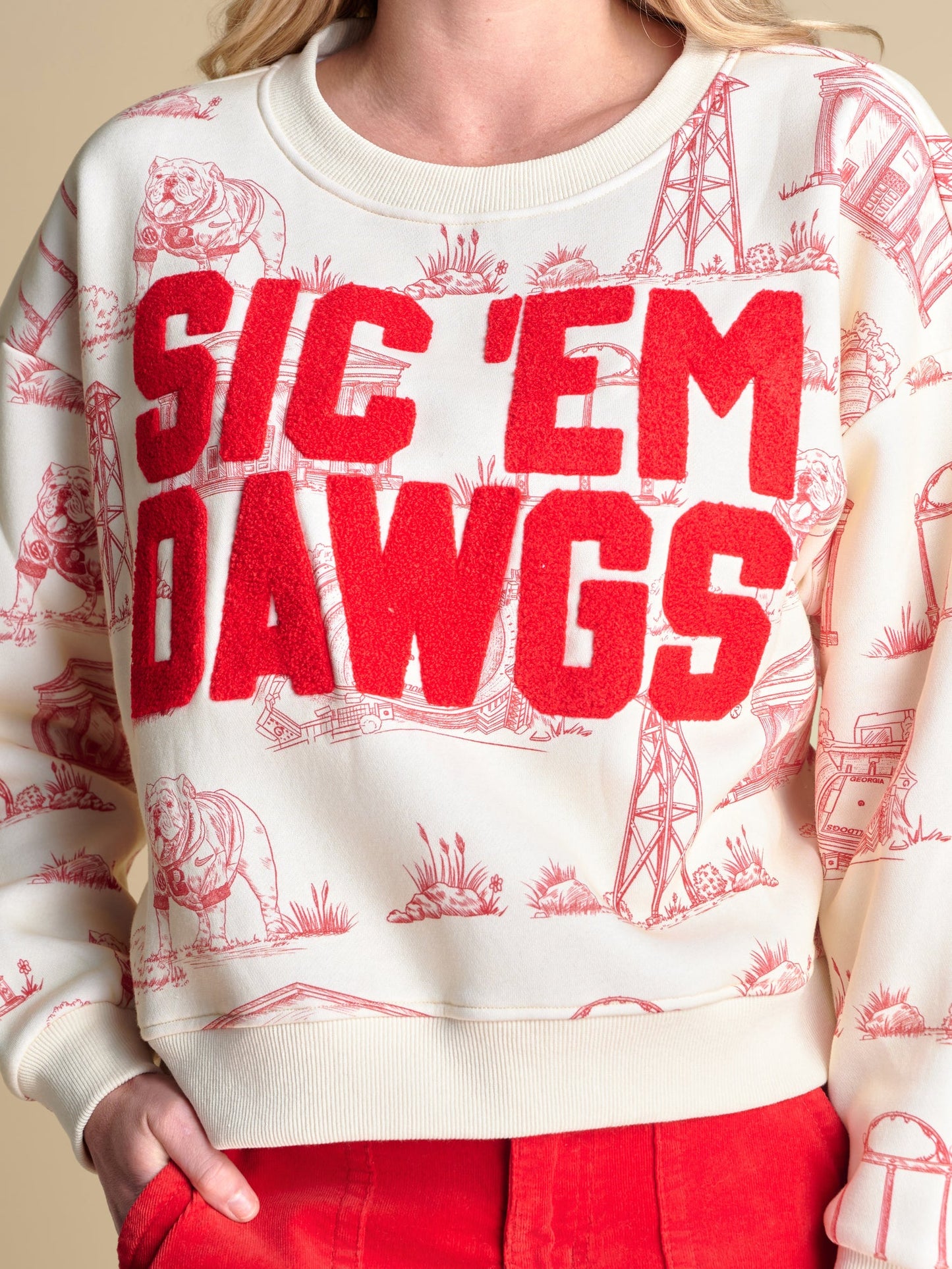 Toile sweatshirt licensed sic em