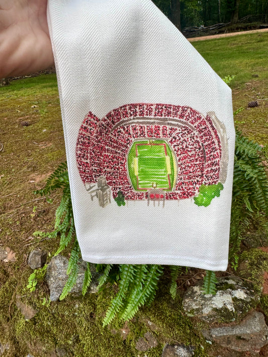 dish towel stadium