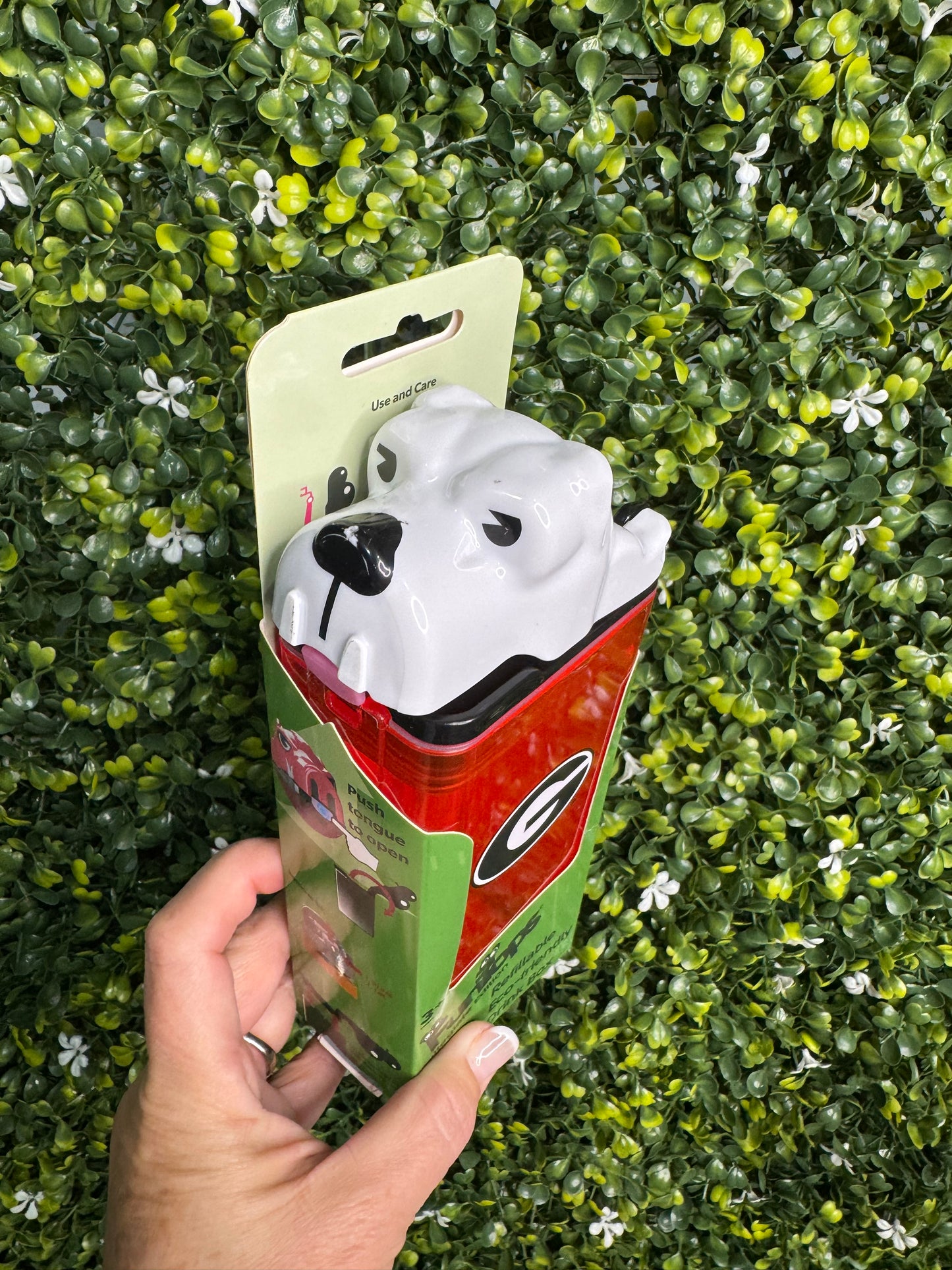 Drink in the box dawgs