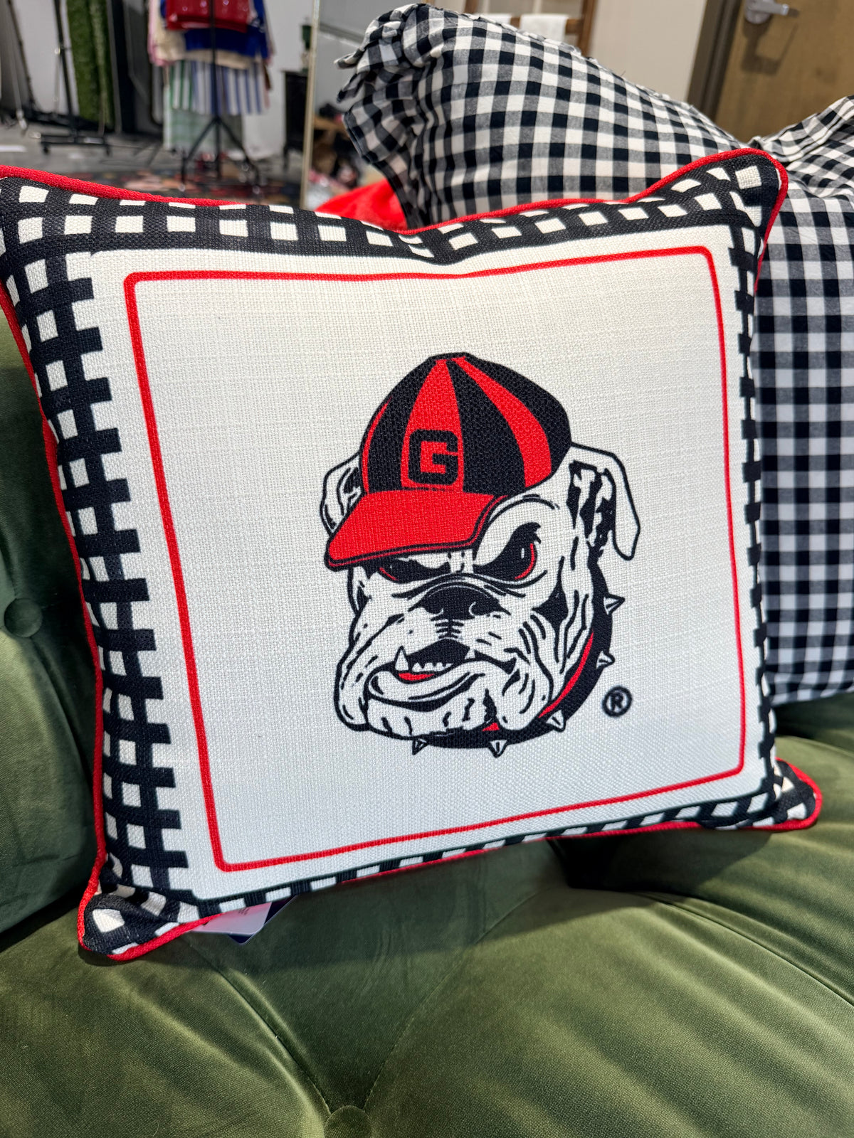 Mascot gingham licensed pillow