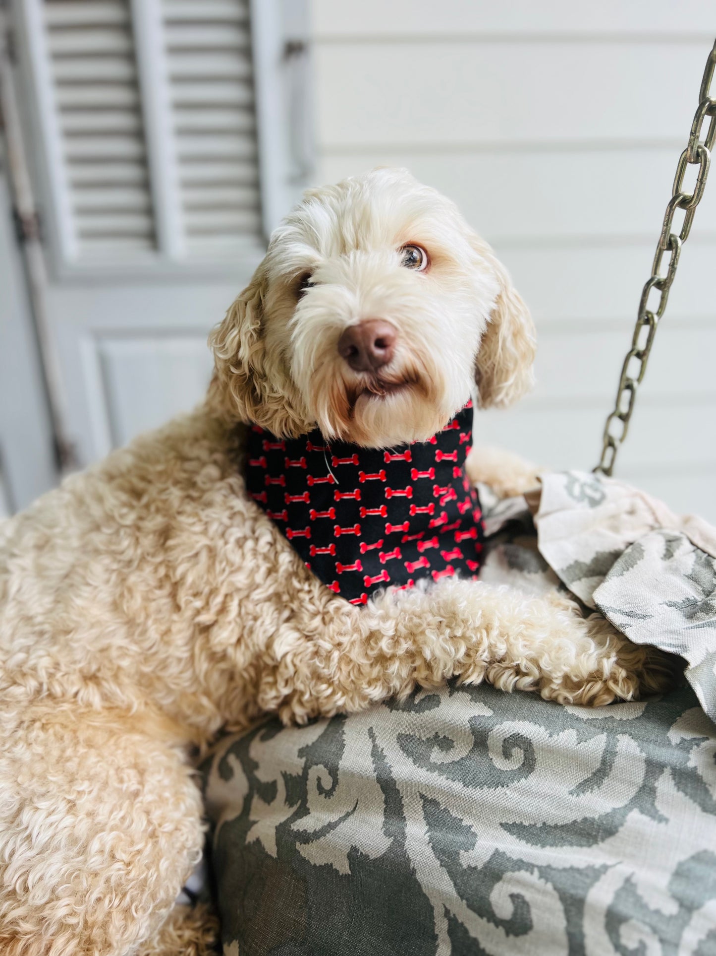 Reversible dog bandana red and black