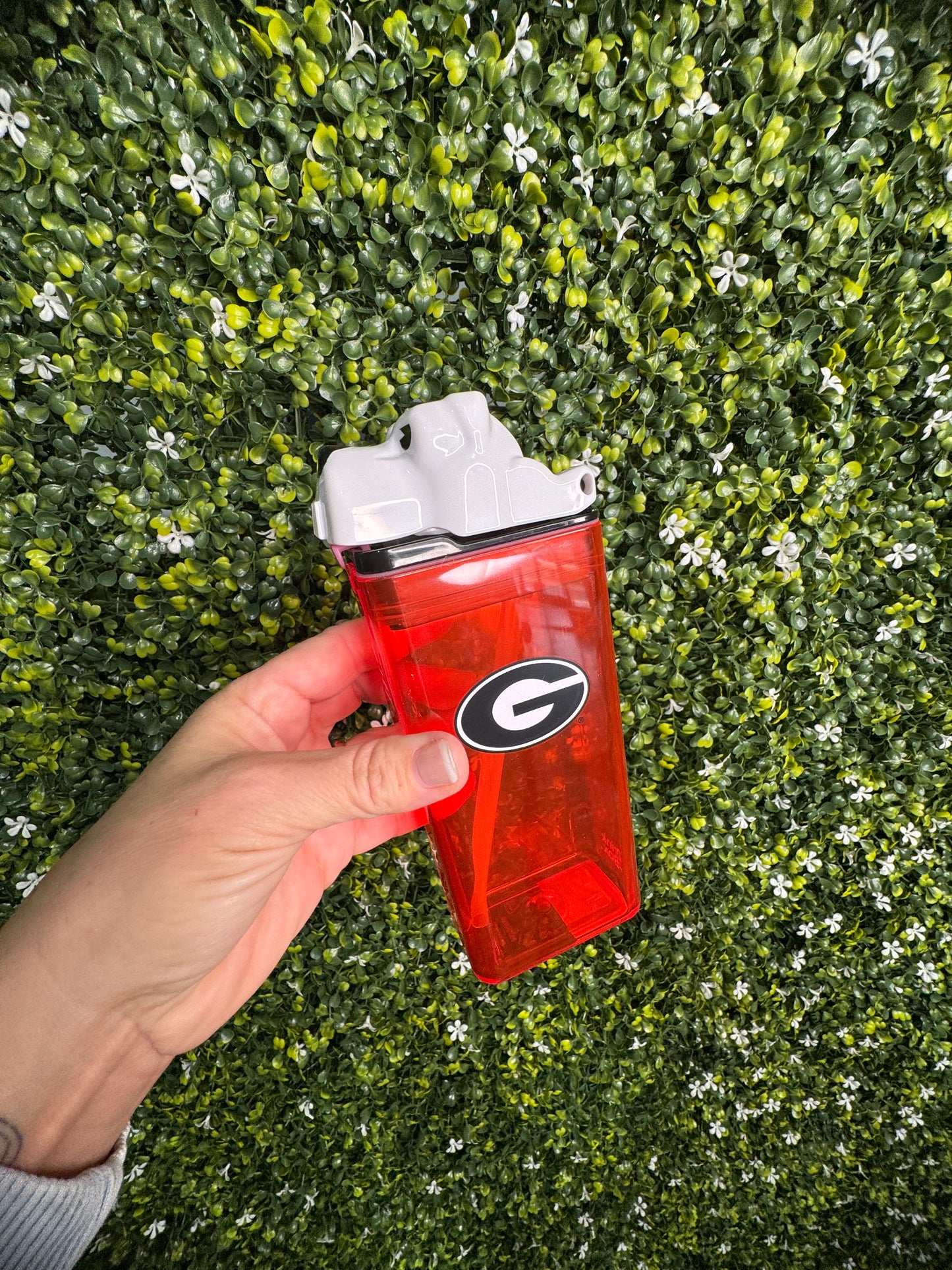 Drink in the box dawgs