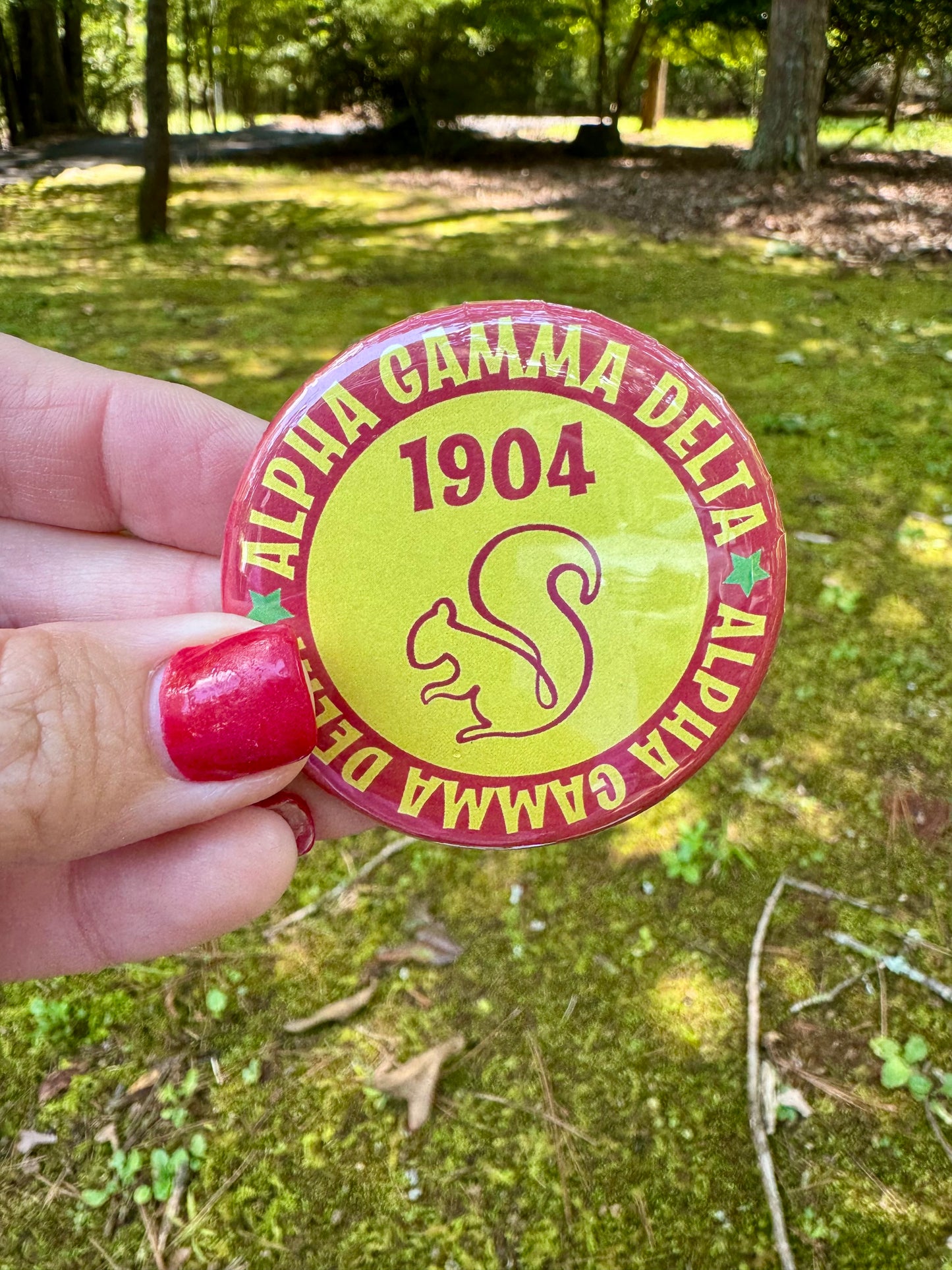 Alpha gam sorority pins