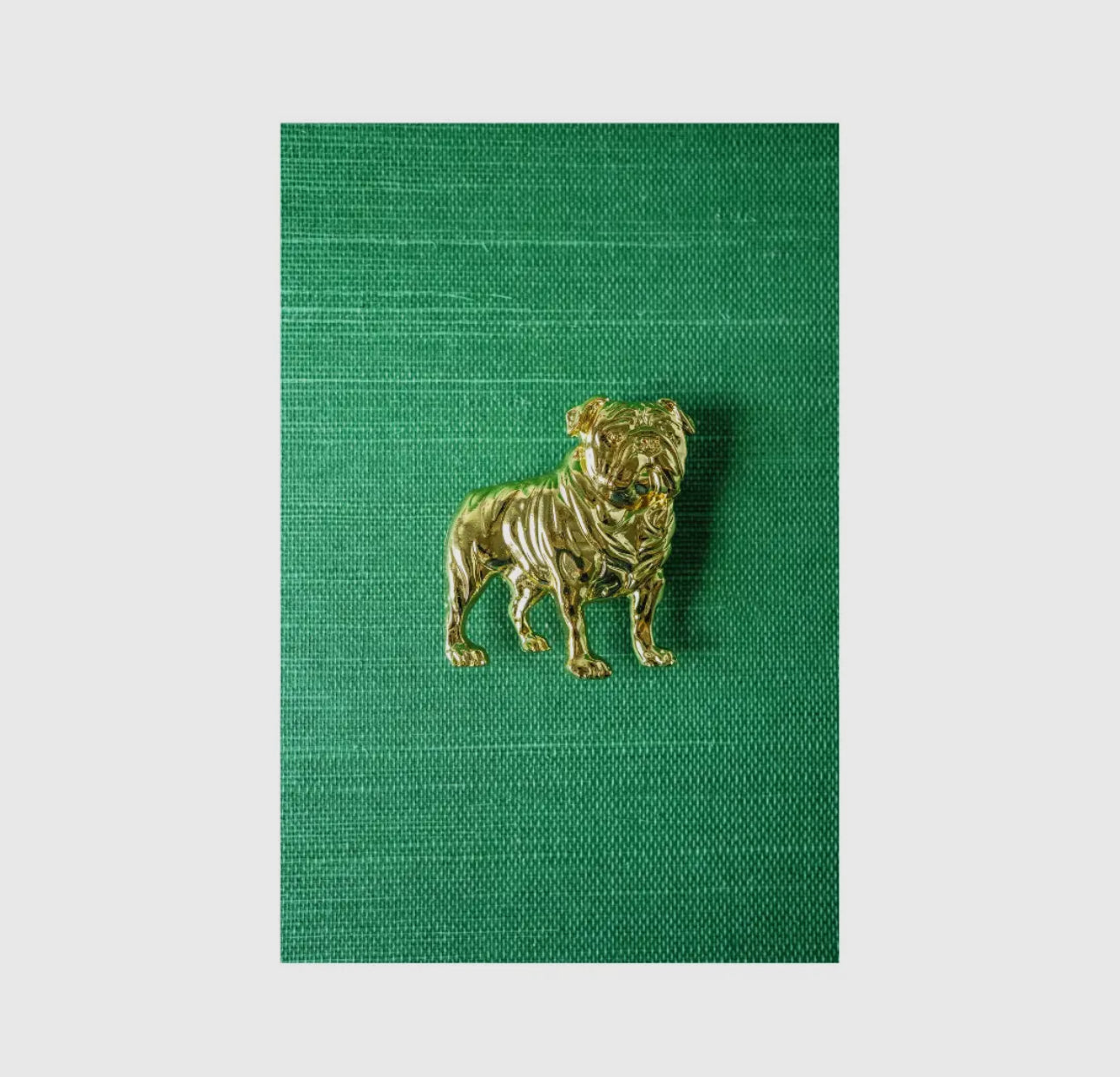 Bulldog belt buckle with gold finish