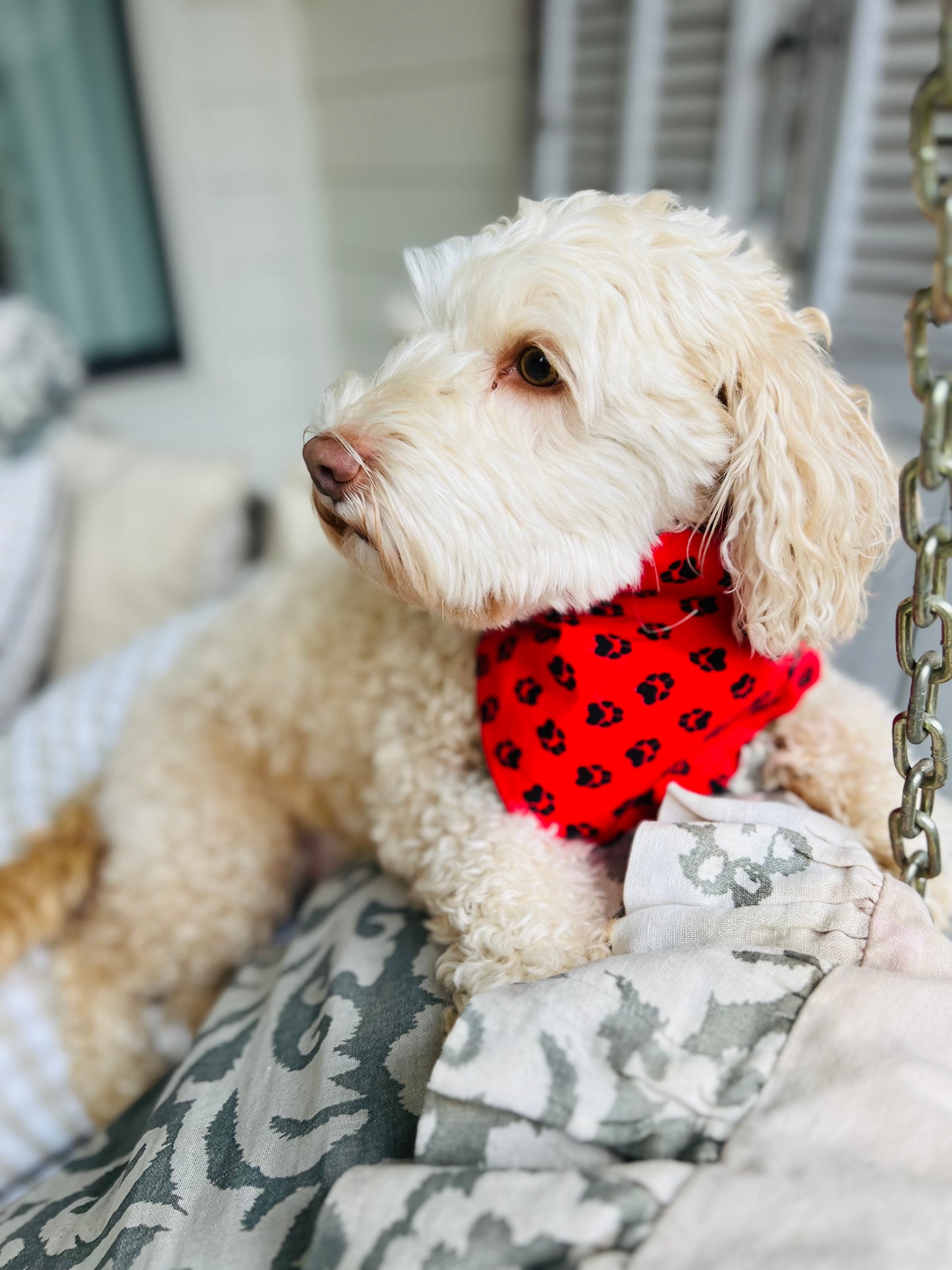 Reversible dog bandana red and black