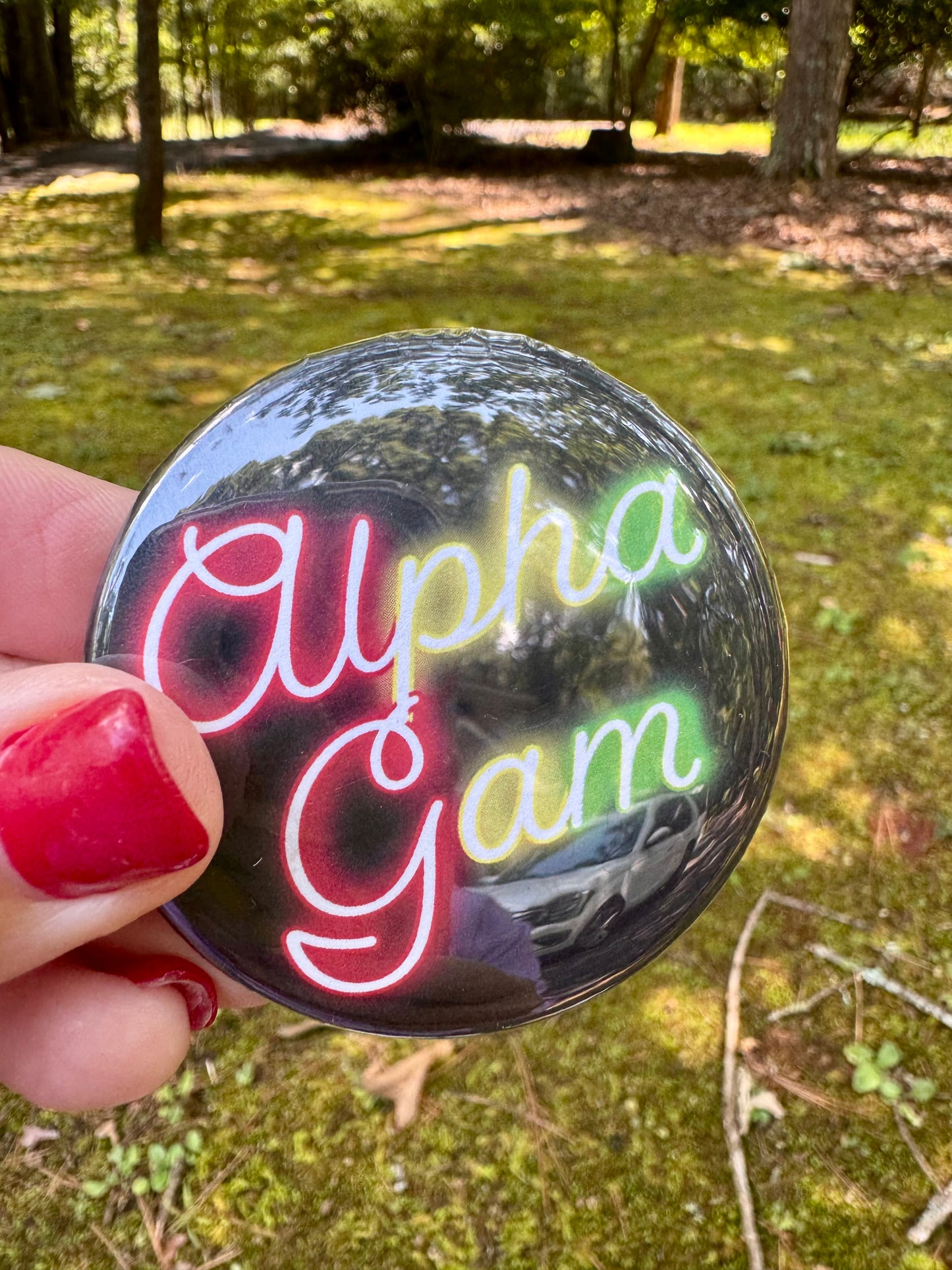 Alpha gam sorority pins