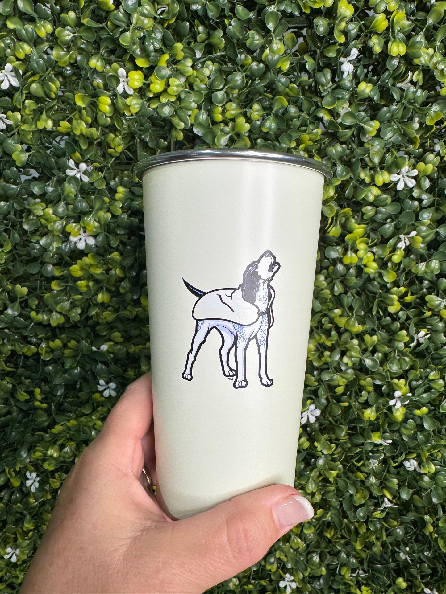 Tennessee color changing cup