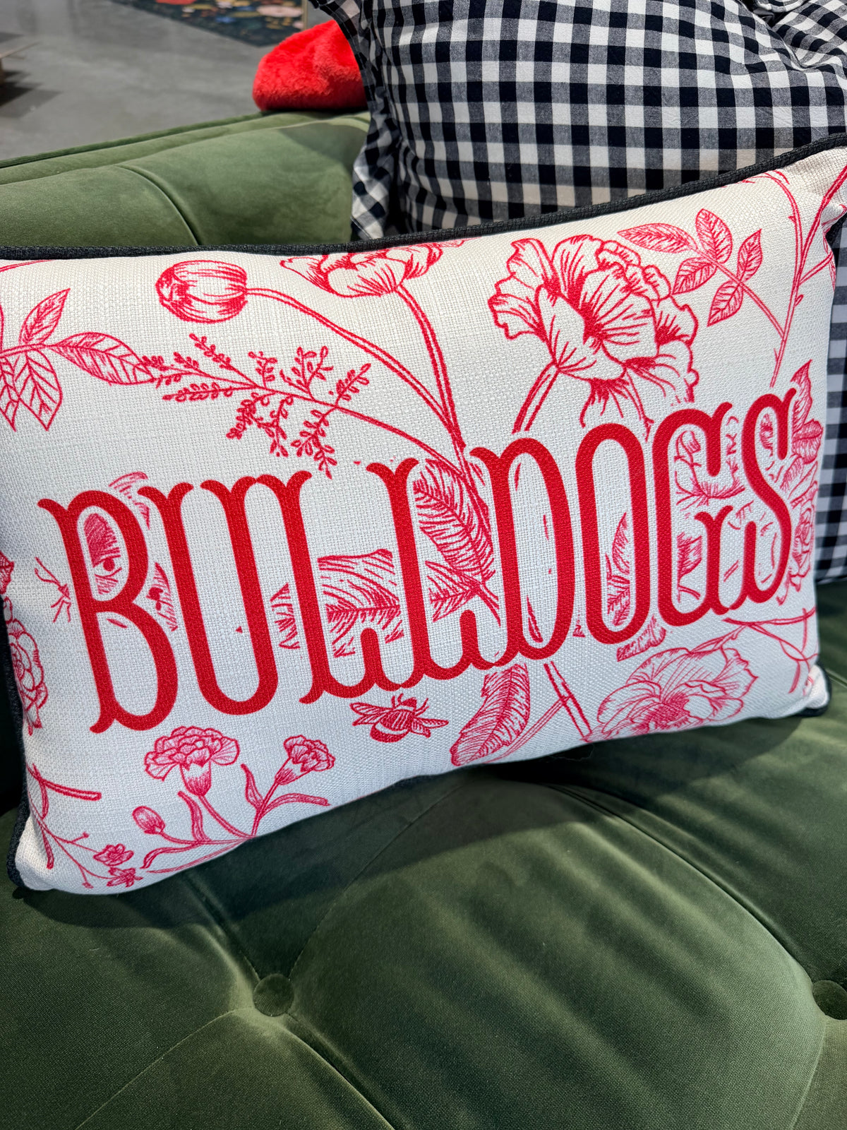 Licensed Georgia Bulldog pillow toile