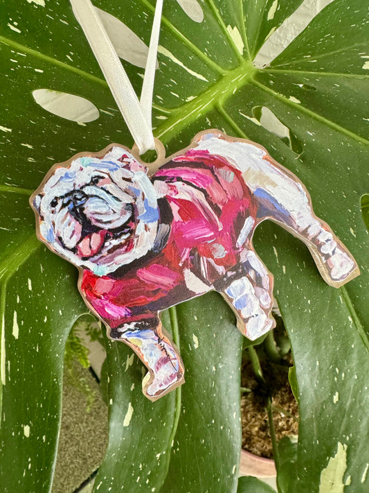 Acrylic ornament