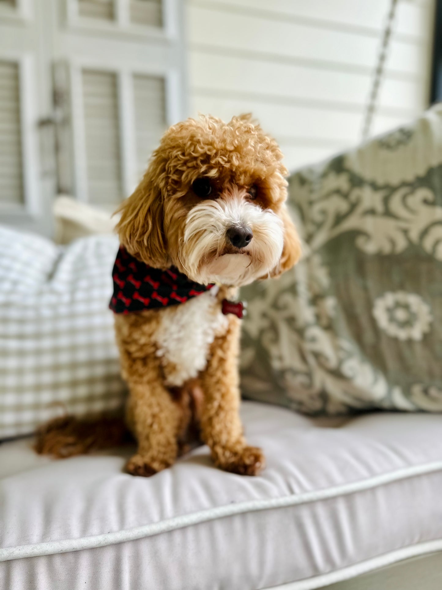 Reversible dog bandana red and black